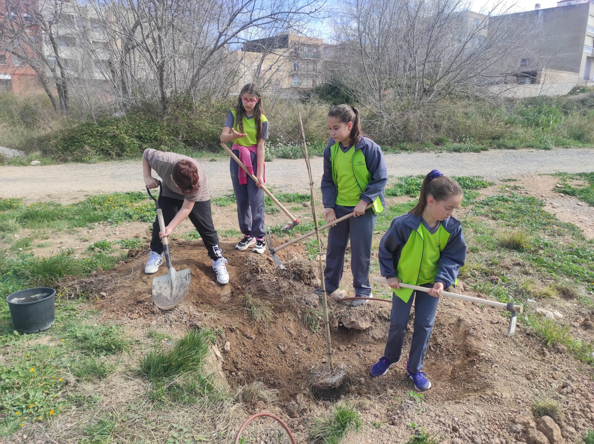 WhatsApp Image 2023-03-16 at 12.41.34