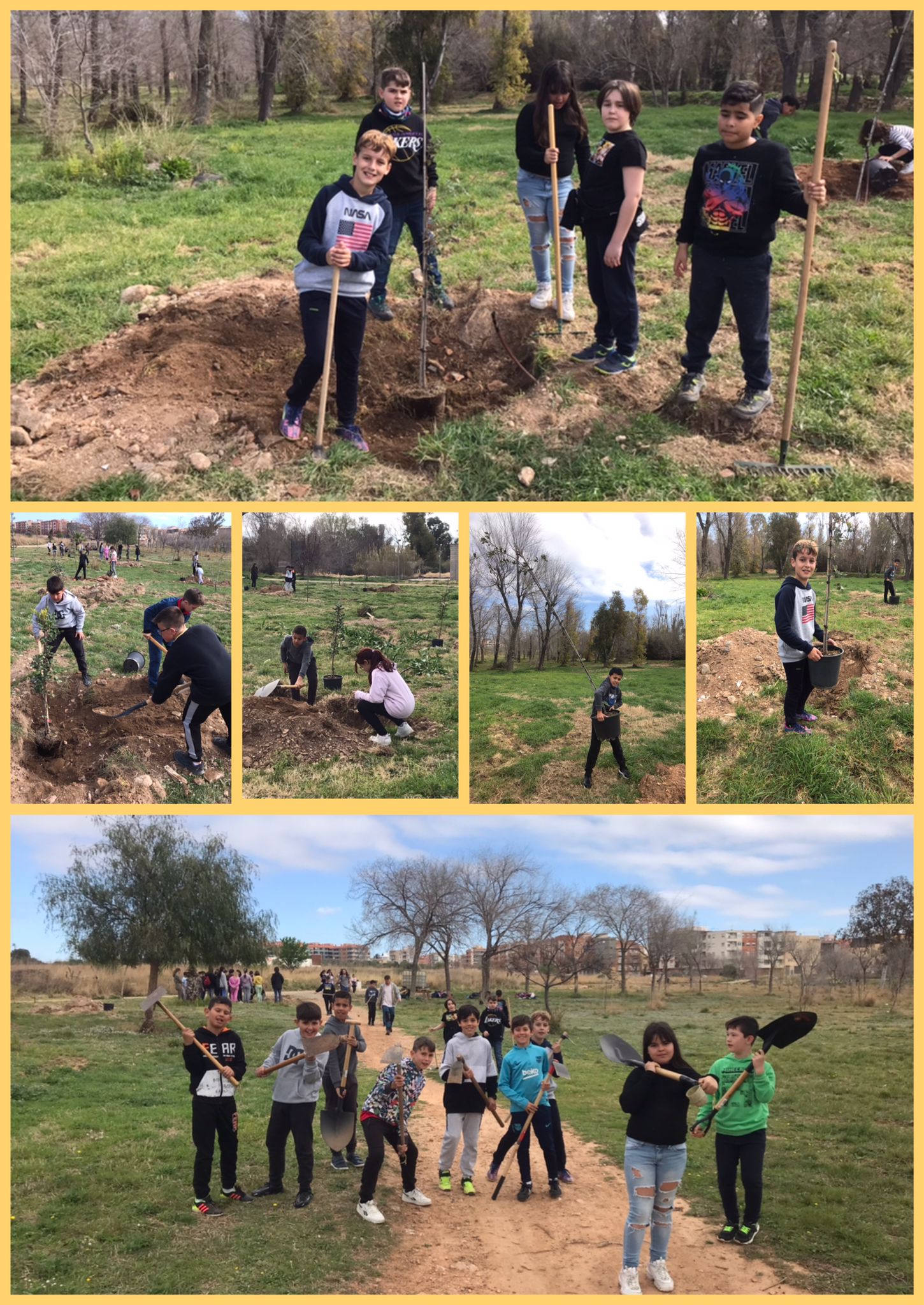 WhatsApp Image 2023-03-16 at 12.45.04