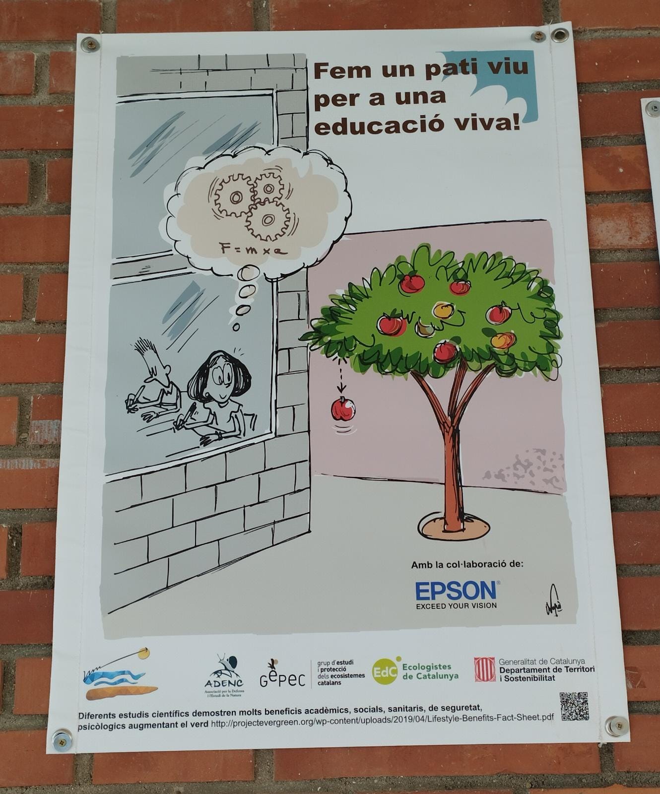 cb980de2-ff47-483b-9471-c3f16162de84