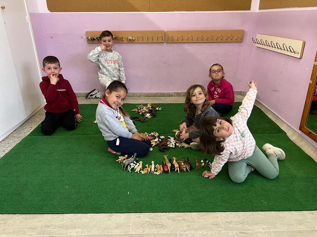 e6da22e4-c47c-4697-a984-4d74e2b9cb58