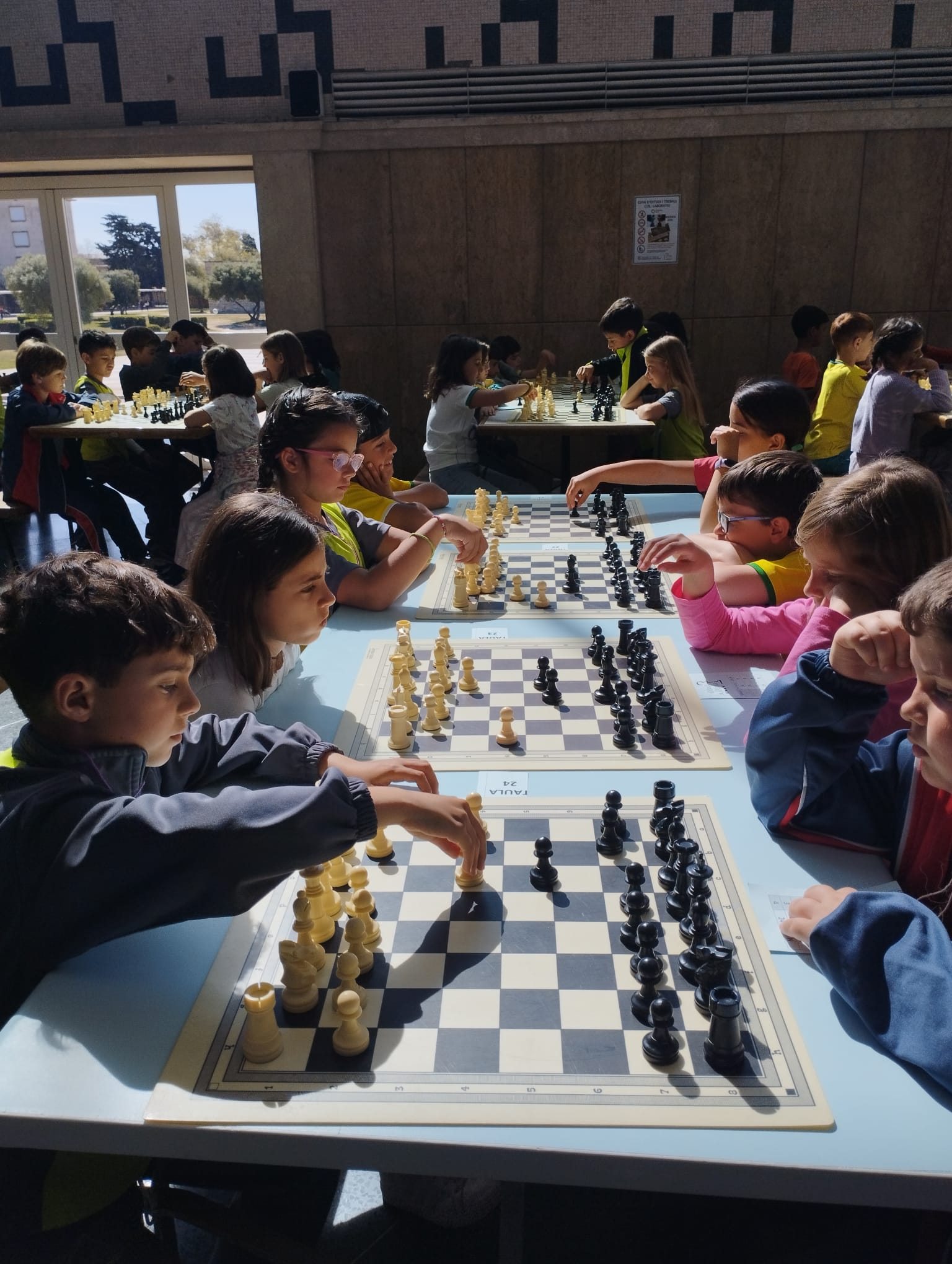 3857cc1b-2c50-4ea8-930b-8f1e84e01b6f