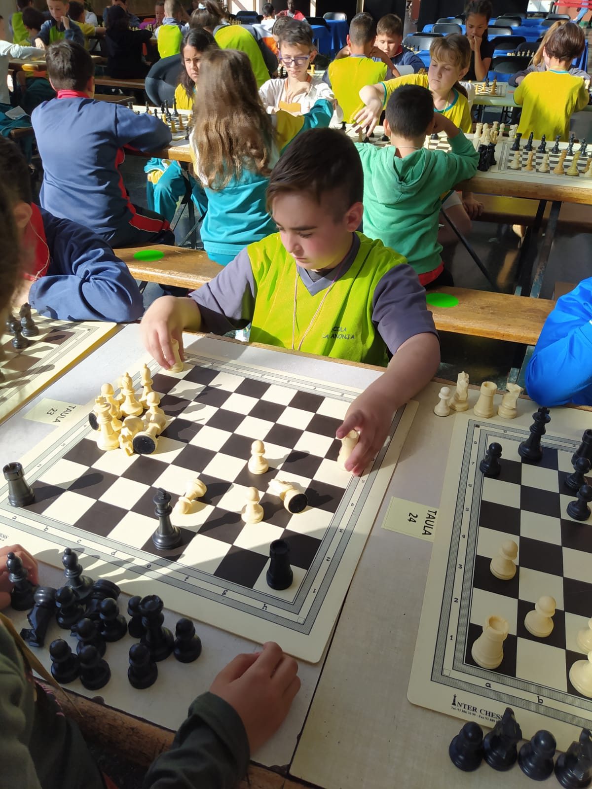 42d66226-0690-41a8-8f0d-9614e3d1d37b