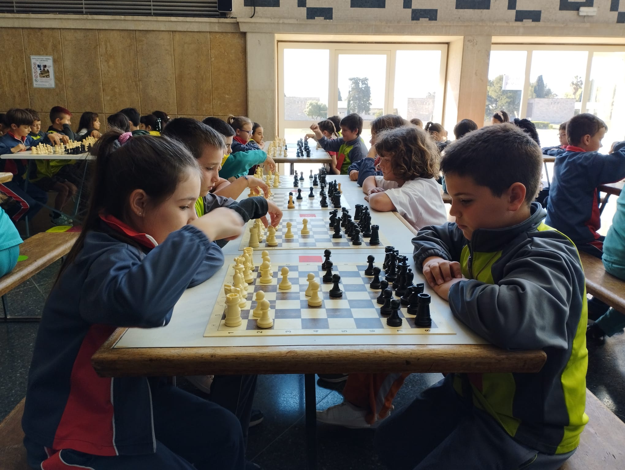 8aa2fa61-830d-4468-8086-87c7d4d8b1ae