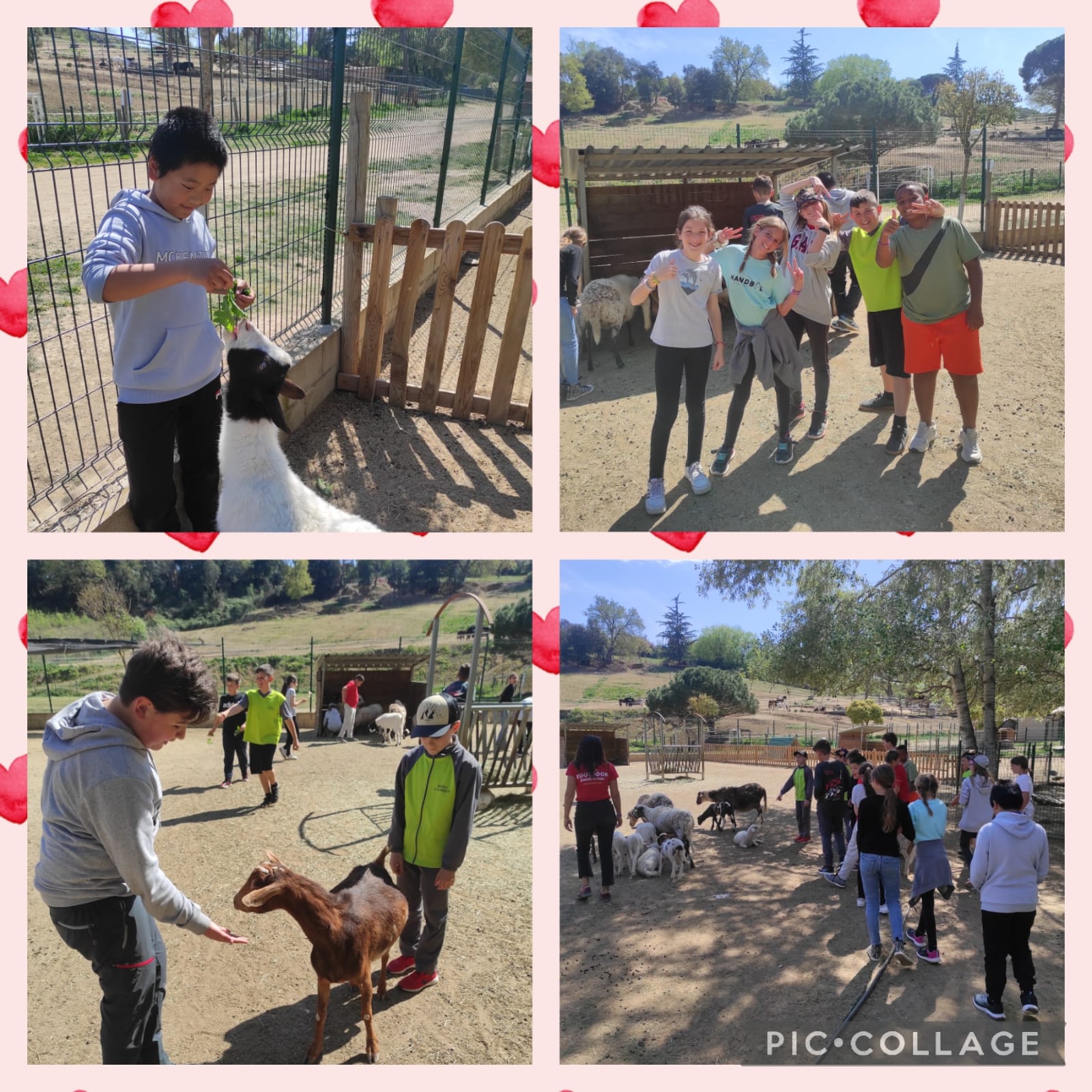 WhatsApp Image 2023-04-20 at 09.03.18 (1)