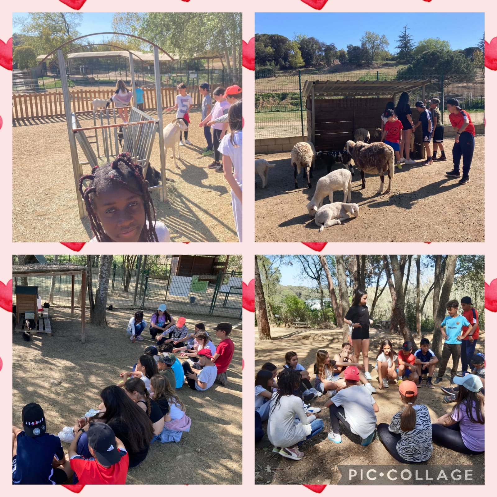 WhatsApp Image 2023-04-20 at 09.03.18