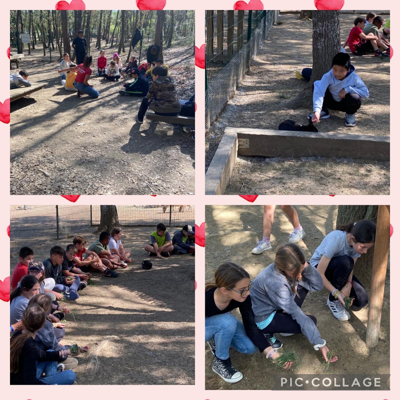 WhatsApp Image 2023-04-21 at 11.38.43-2