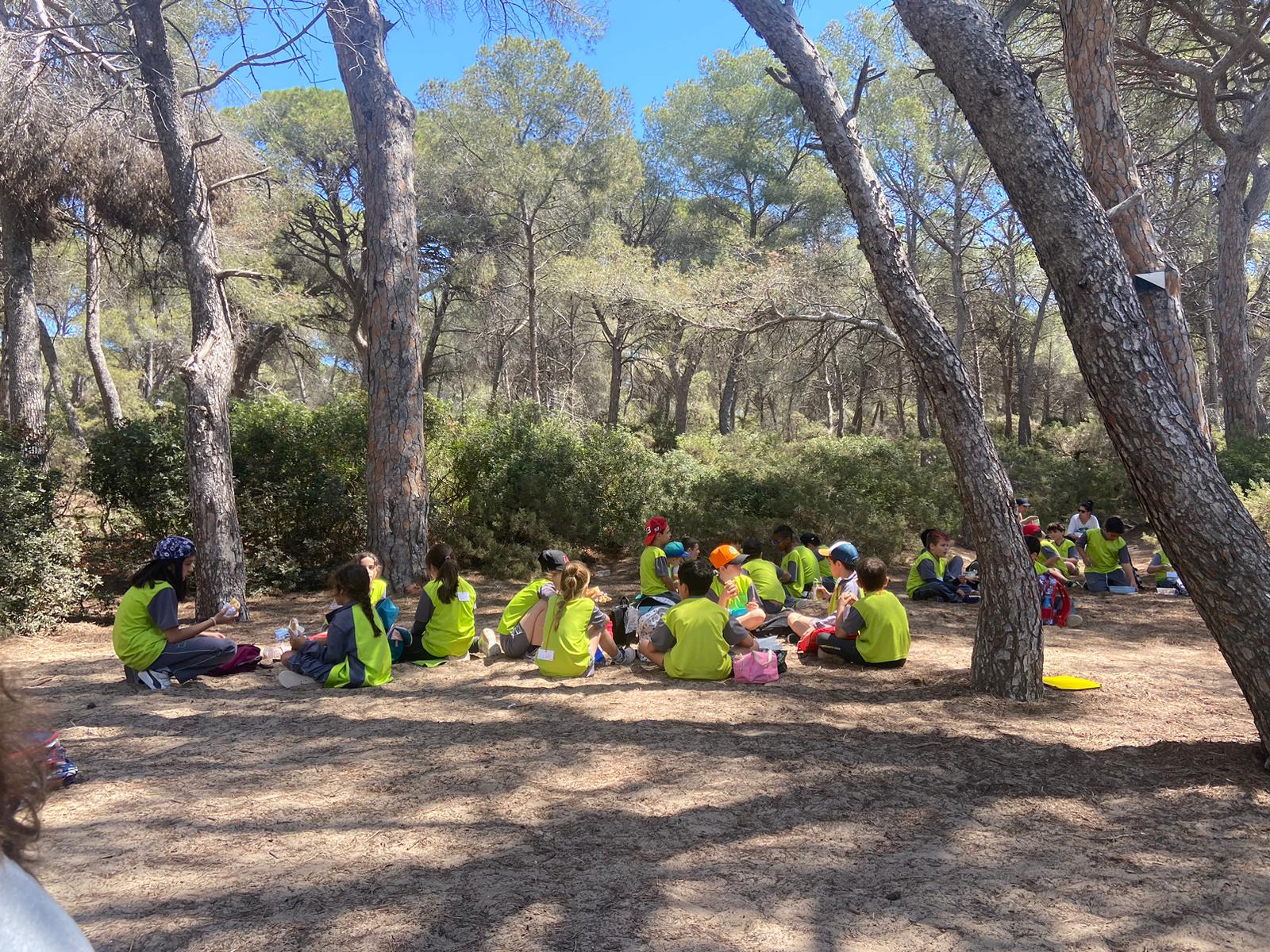 0f2a9526-93df-471a-9d5a-e76df642ec4f