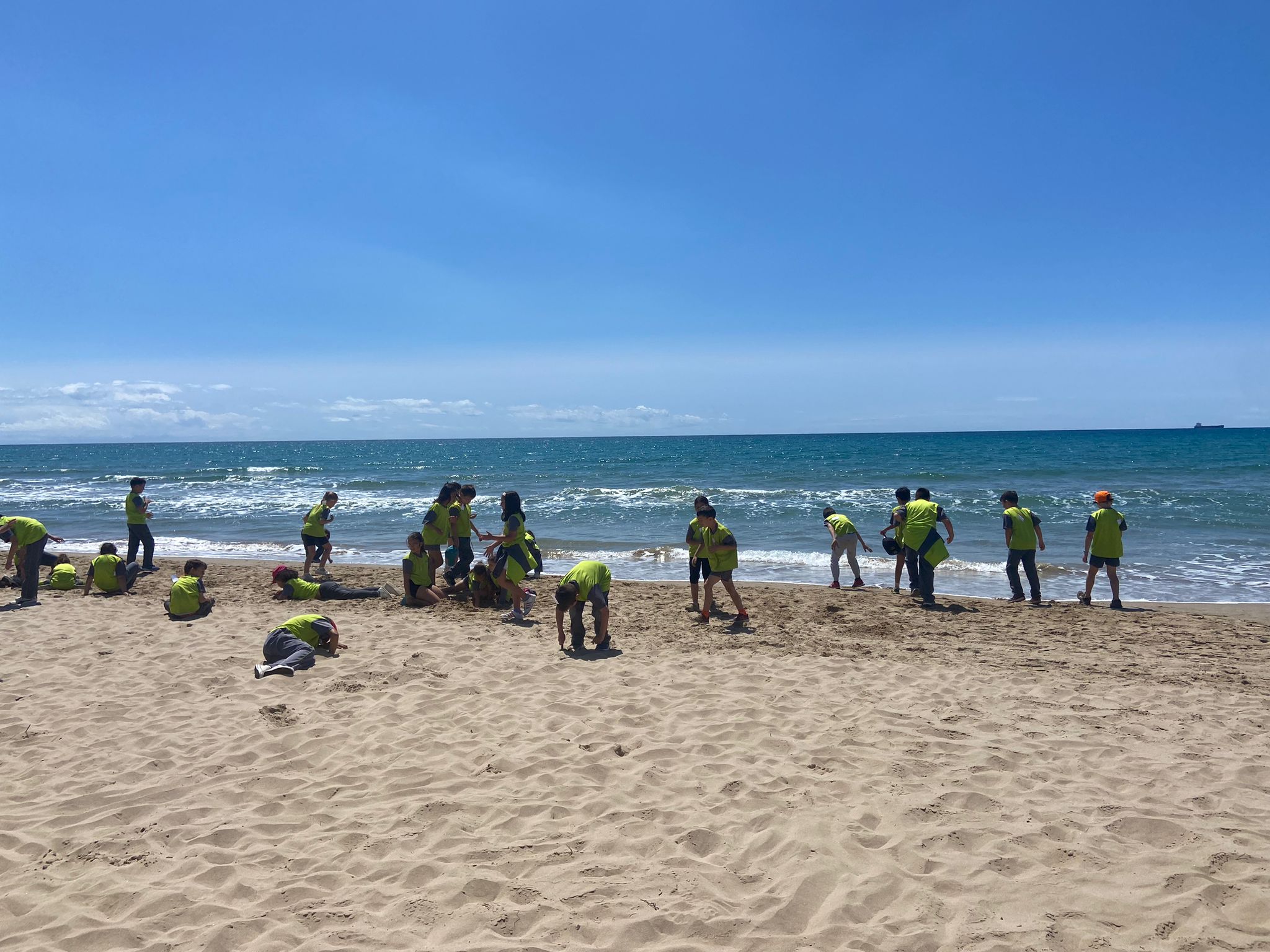 31aec400-6d39-4d90-9fb4-1091cb548ed5