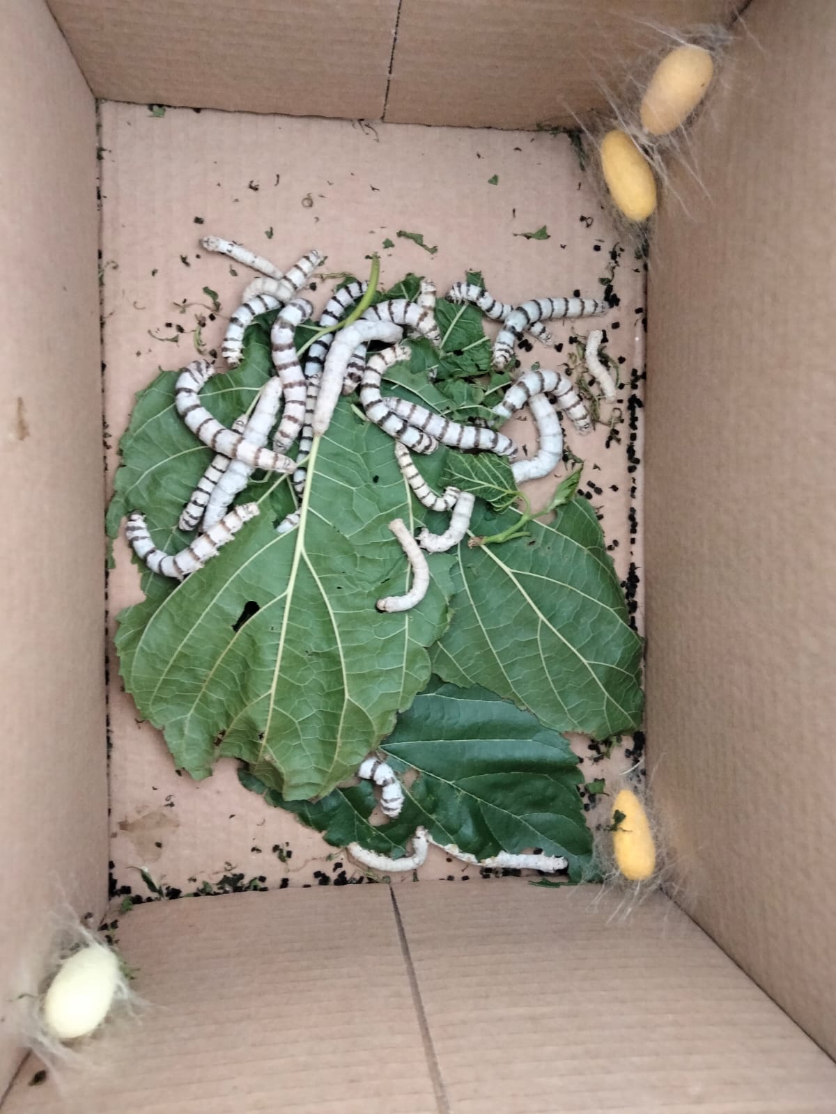 339dd147-7ad5-404d-af98-f8954c044198