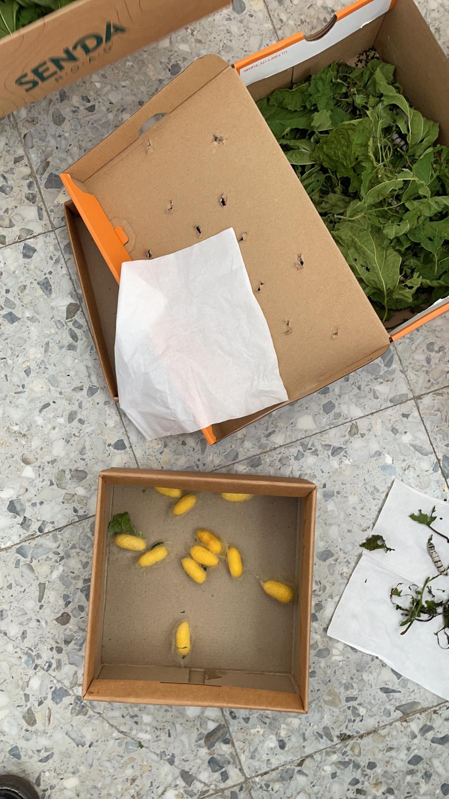 761c4219-4b53-47ce-a860-e3f62279f6c8