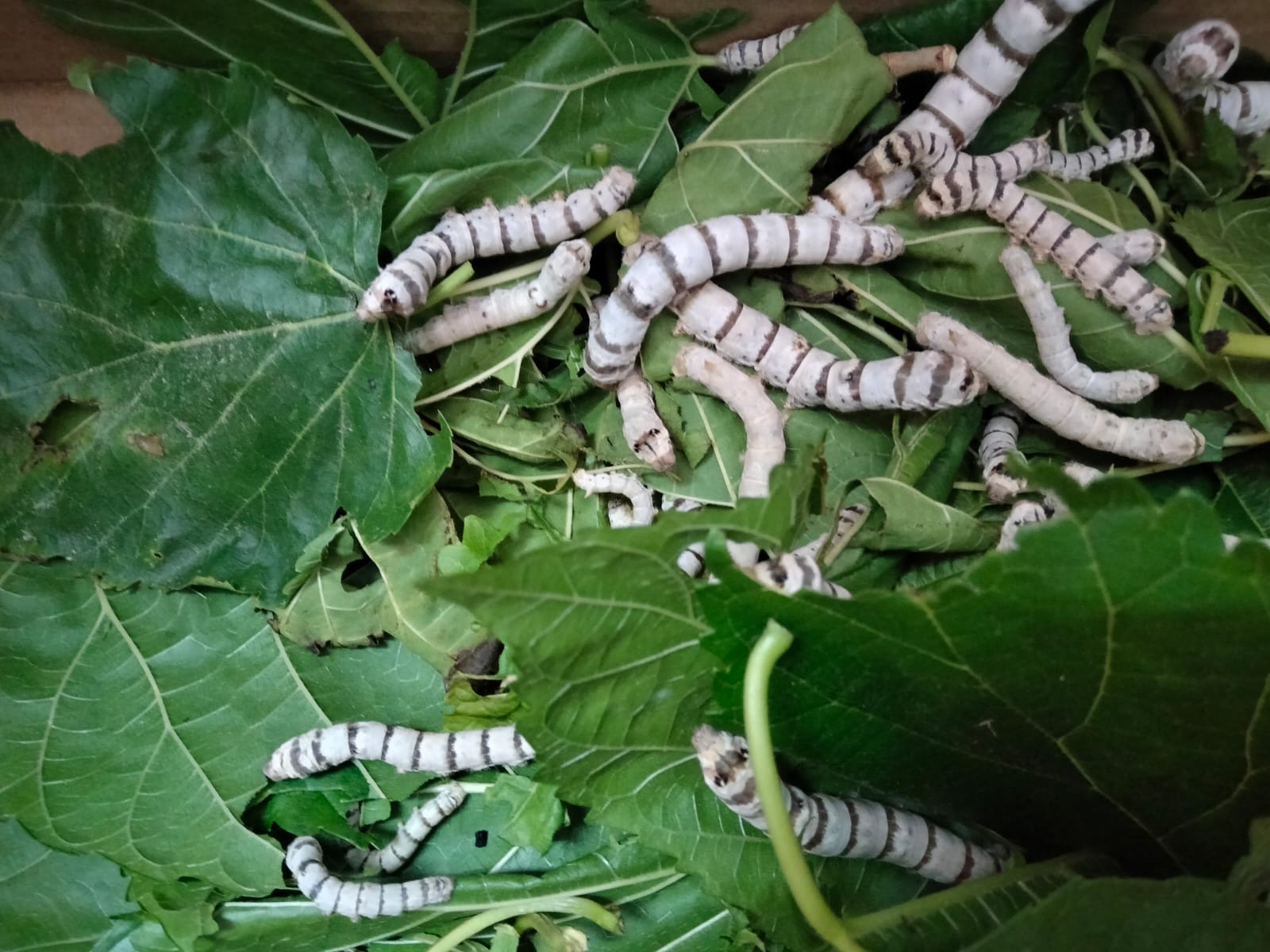 9f455a75-9a02-4b69-984e-f2ff25bdba7e