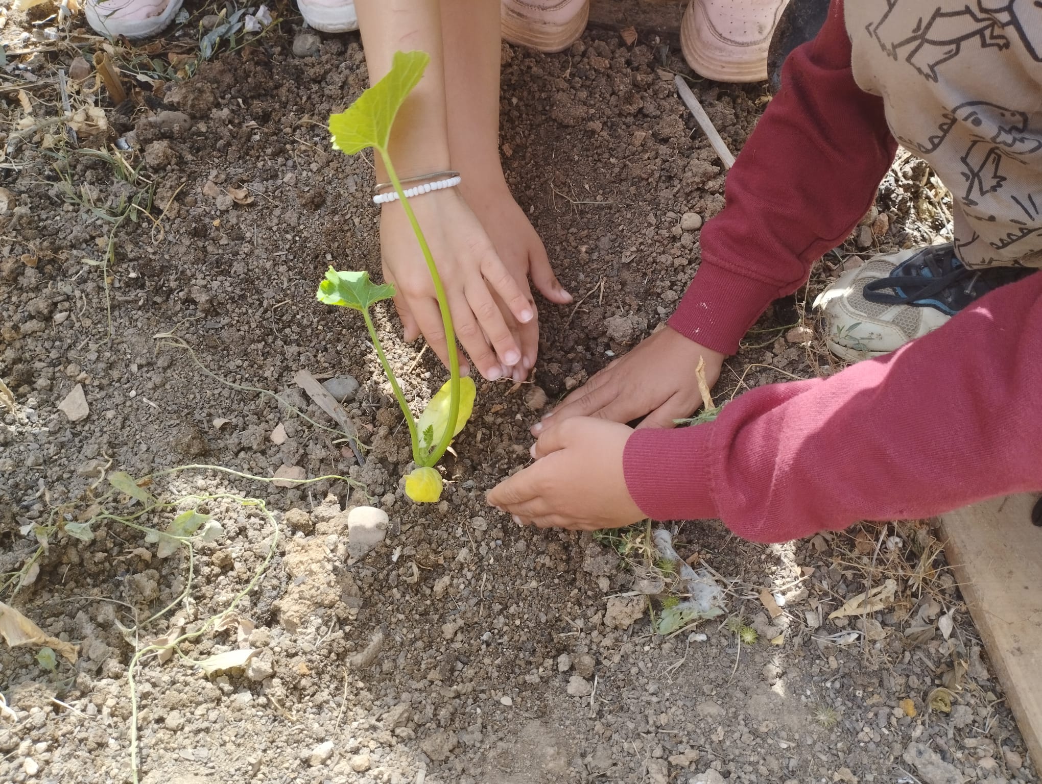 WhatsApp Image 2023-05-09 at 16.41.39