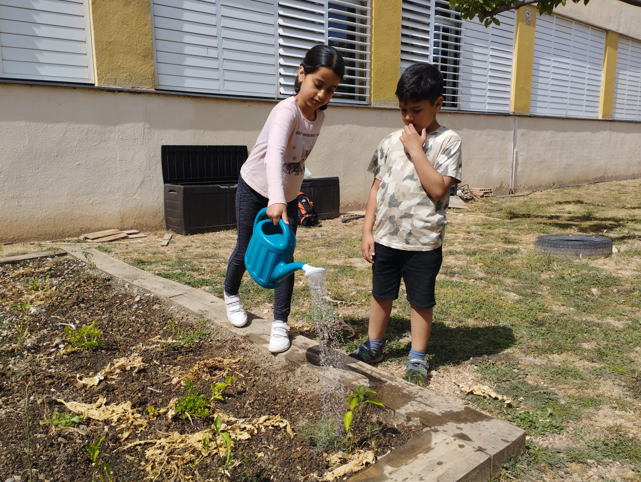 WhatsApp Image 2023-05-09 at 16.41.40 (1)