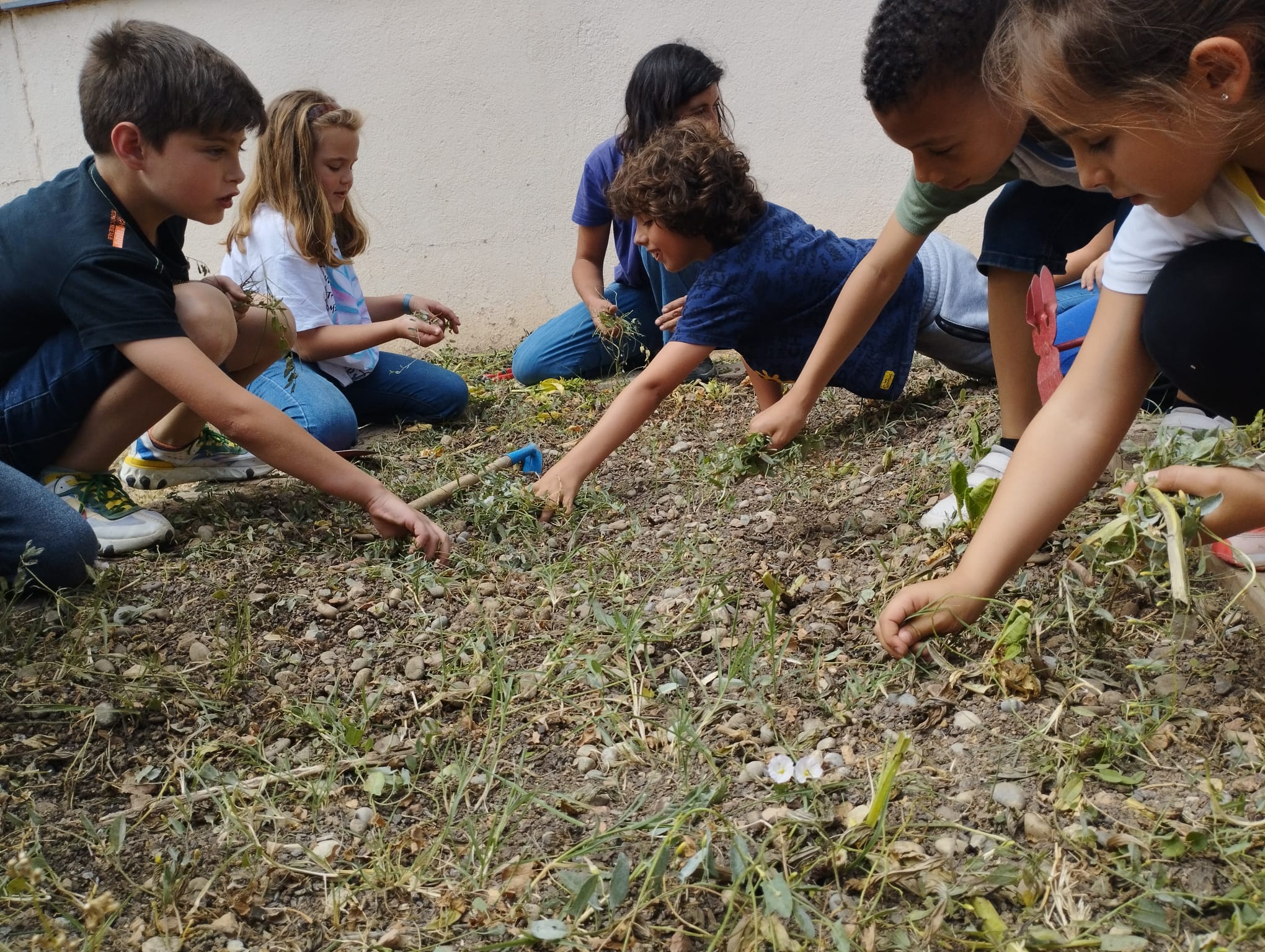 WhatsApp Image 2023-05-09 at 16.41.40 (3)