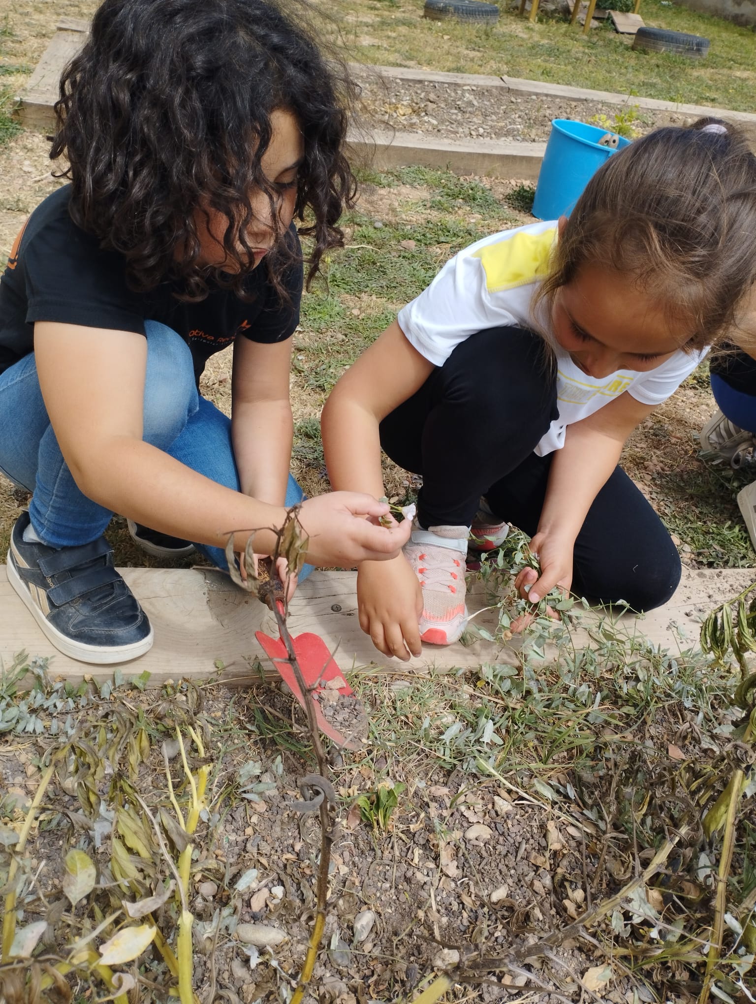 WhatsApp Image 2023-05-09 at 16.41.41 (2)