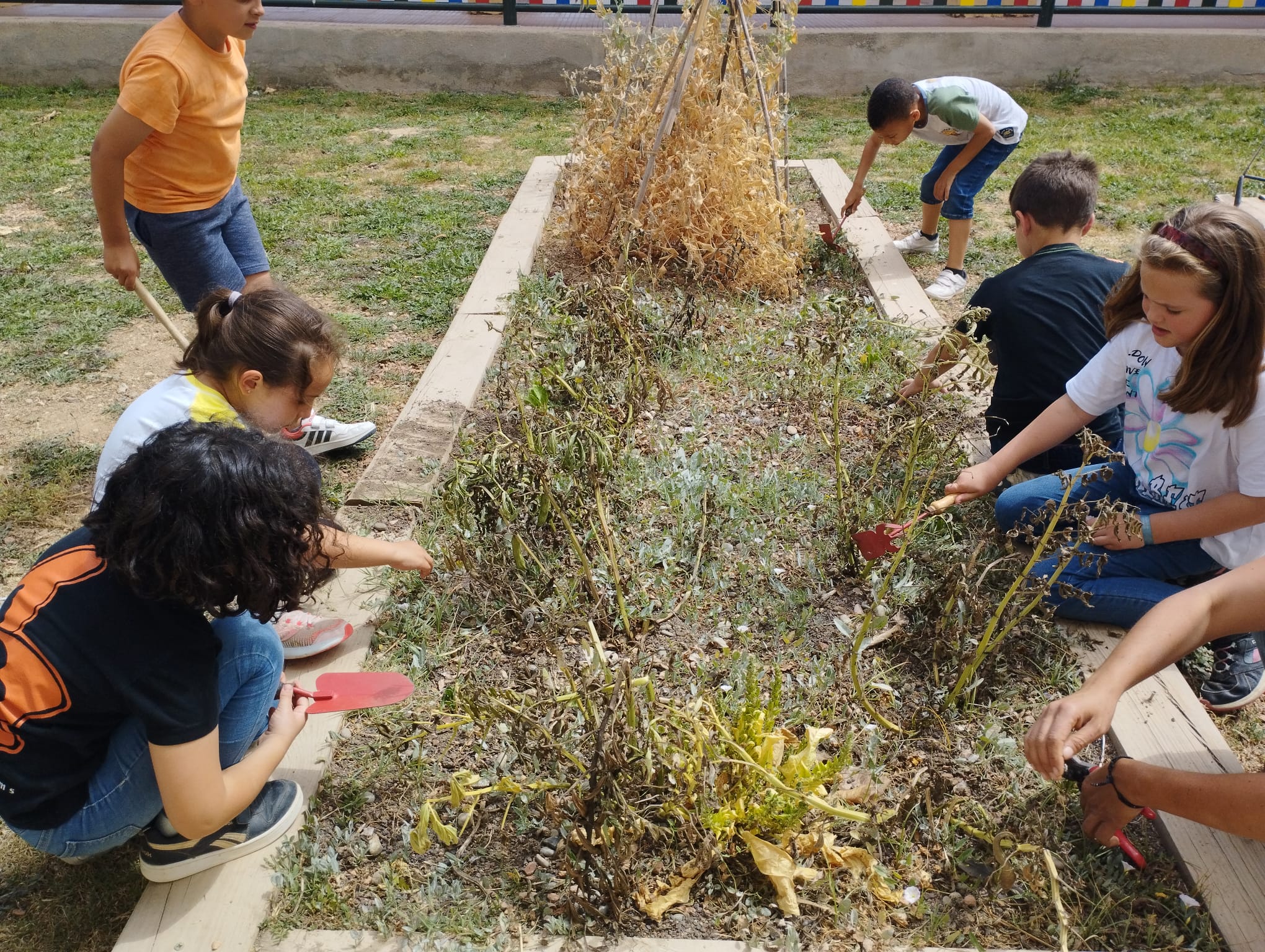 WhatsApp Image 2023-05-09 at 16.41.41 (3)