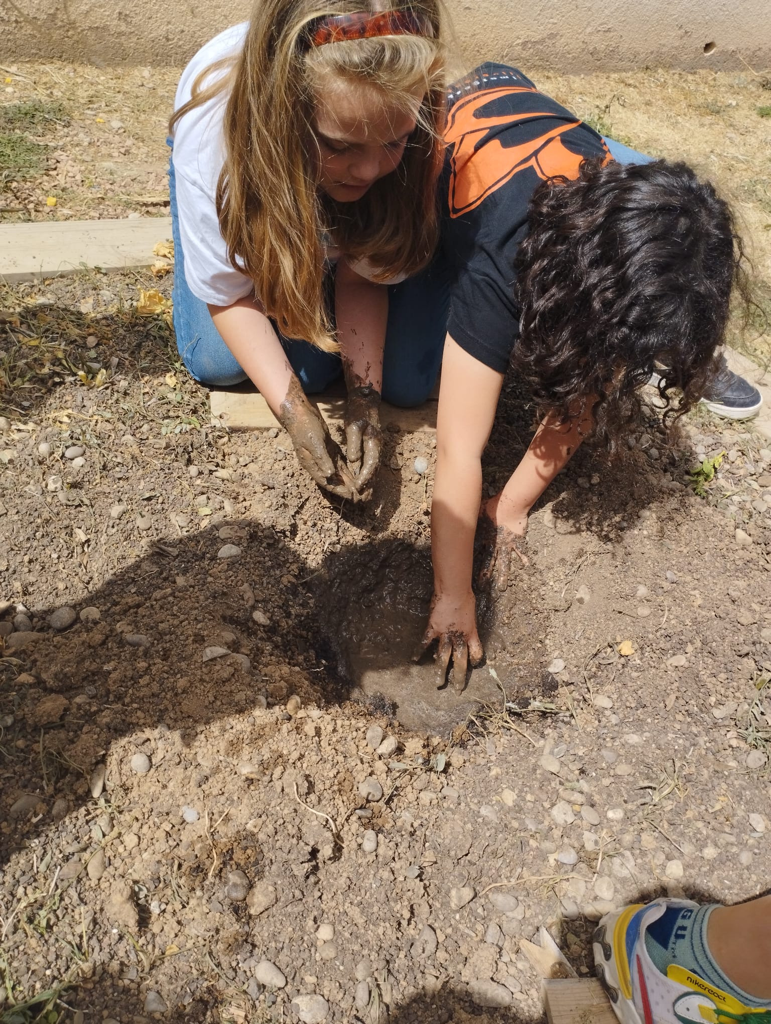 WhatsApp Image 2023-05-09 at 16.41.41