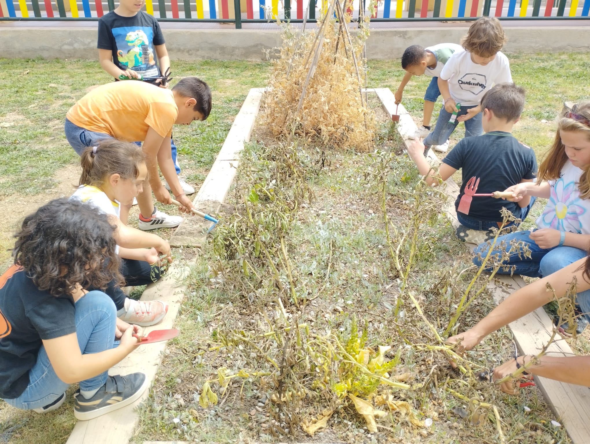 WhatsApp Image 2023-05-09 at 16.41.42