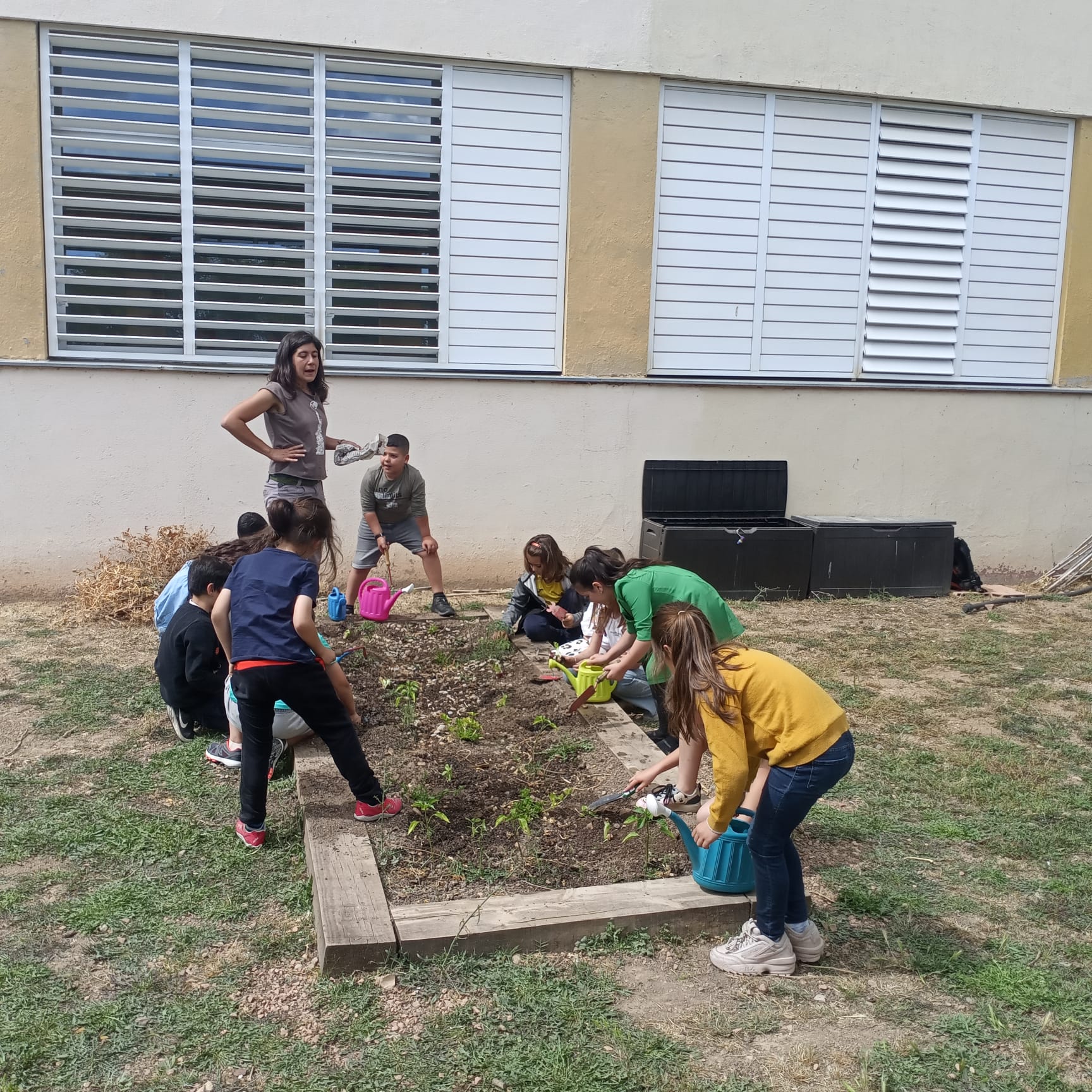 WhatsApp Image 2023-05-16 at 16.18.21