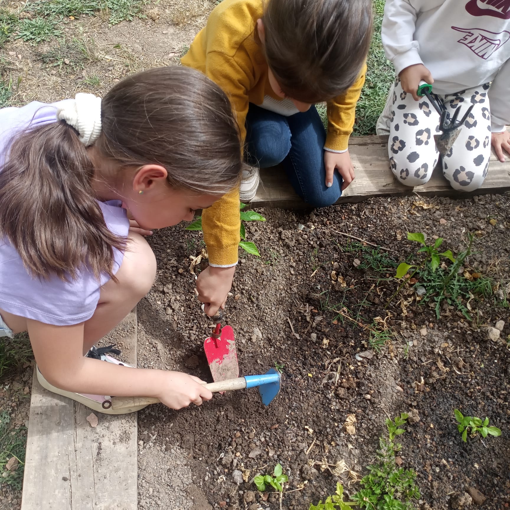 WhatsApp Image 2023-05-16 at 16.18.23 (1)