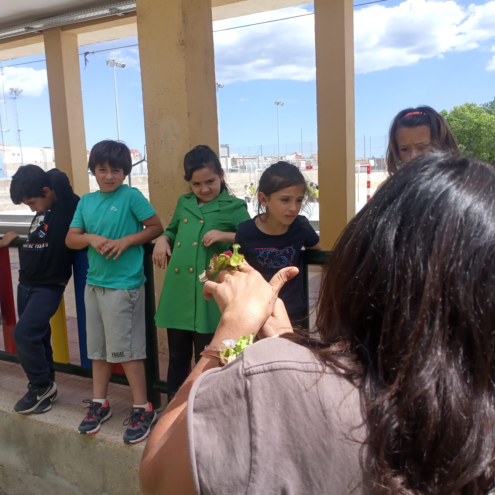 WhatsApp Image 2023-05-16 at 16.18.23 (3)