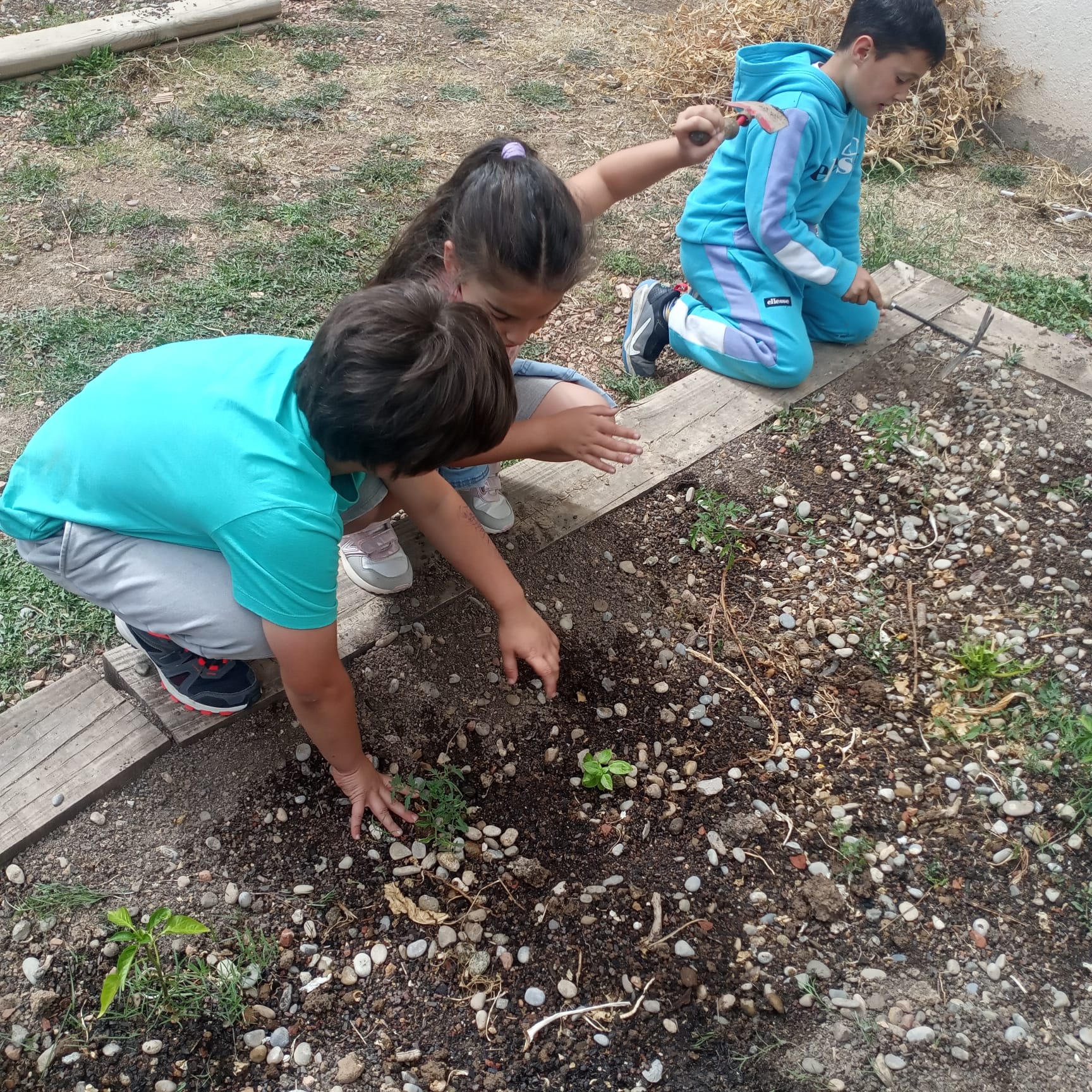 WhatsApp Image 2023-05-16 at 16.18.23