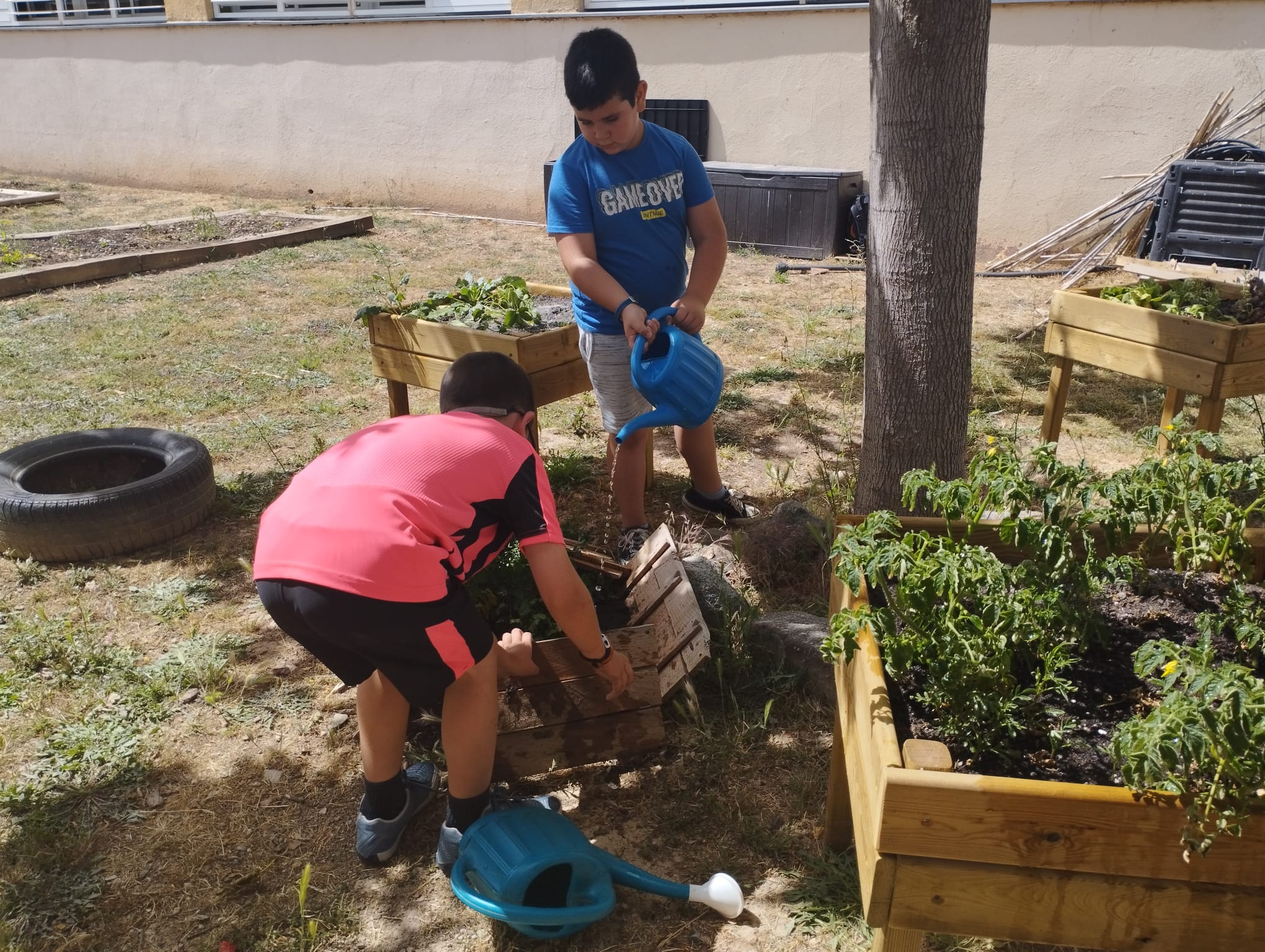 WhatsApp Image 2023-05-18 at 17.28.53 (1)