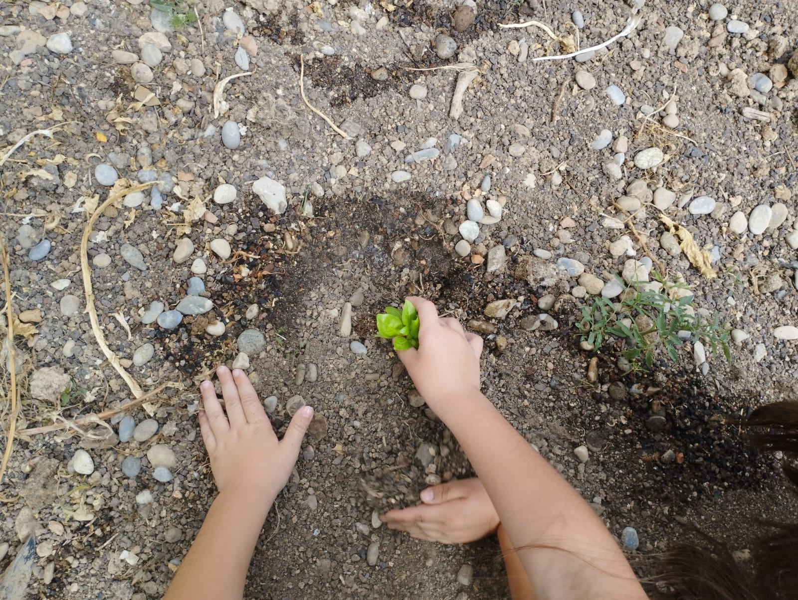 WhatsApp Image 2023-05-18 at 17.28.53 (2)