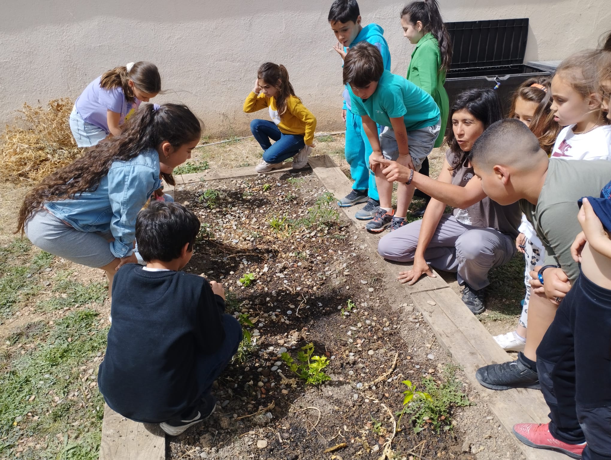 WhatsApp Image 2023-05-18 at 17.28.53