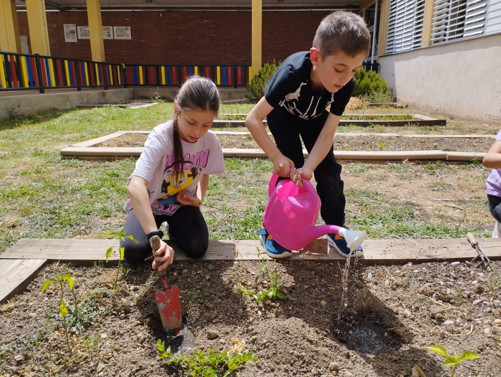 WhatsApp Image 2023-05-18 at 17.28.54