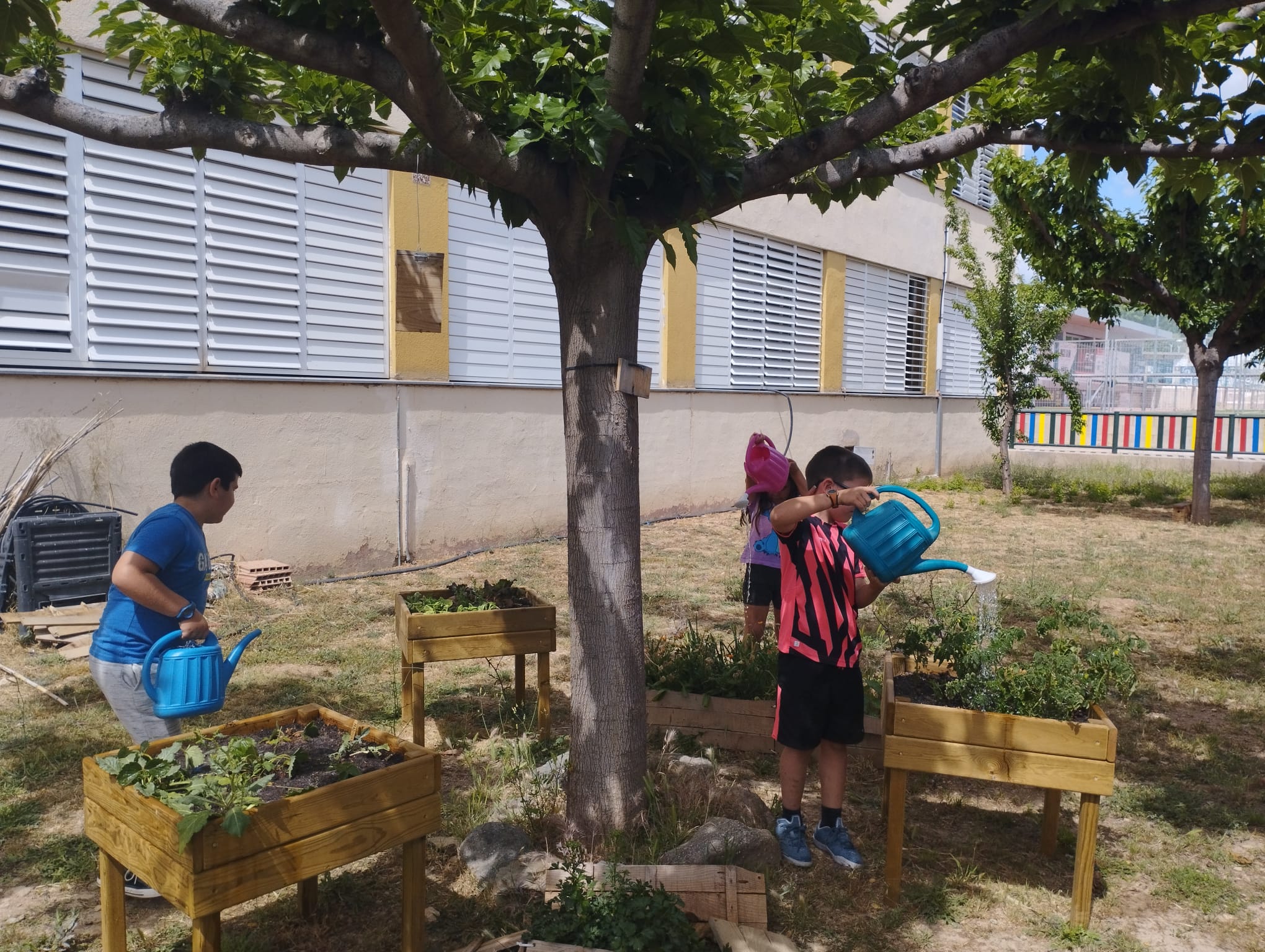 WhatsApp Image 2023-05-18 at 17.28.55 (1)