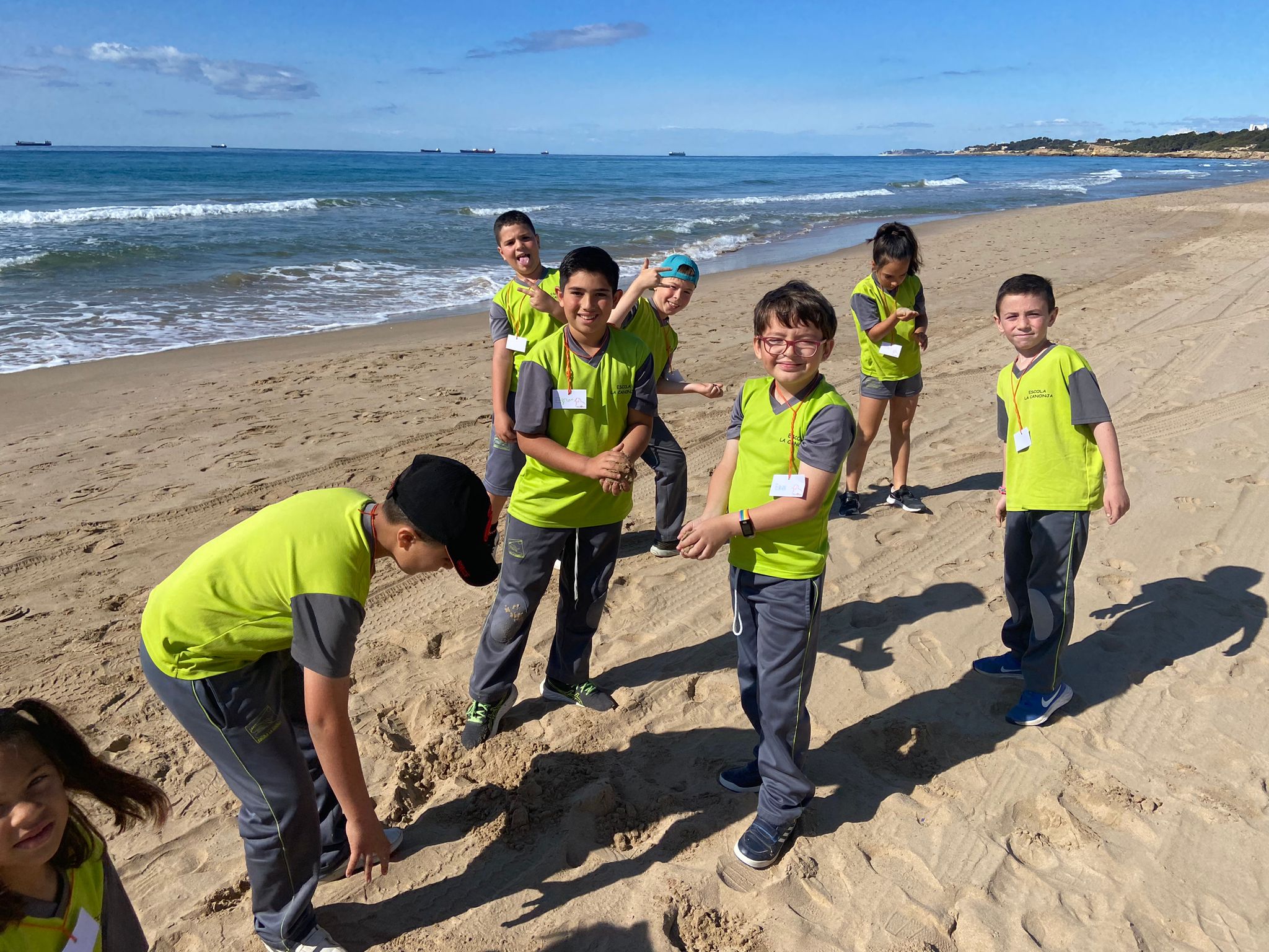 a55a78bd-cd85-4d78-a0b6-00d09d9a790c