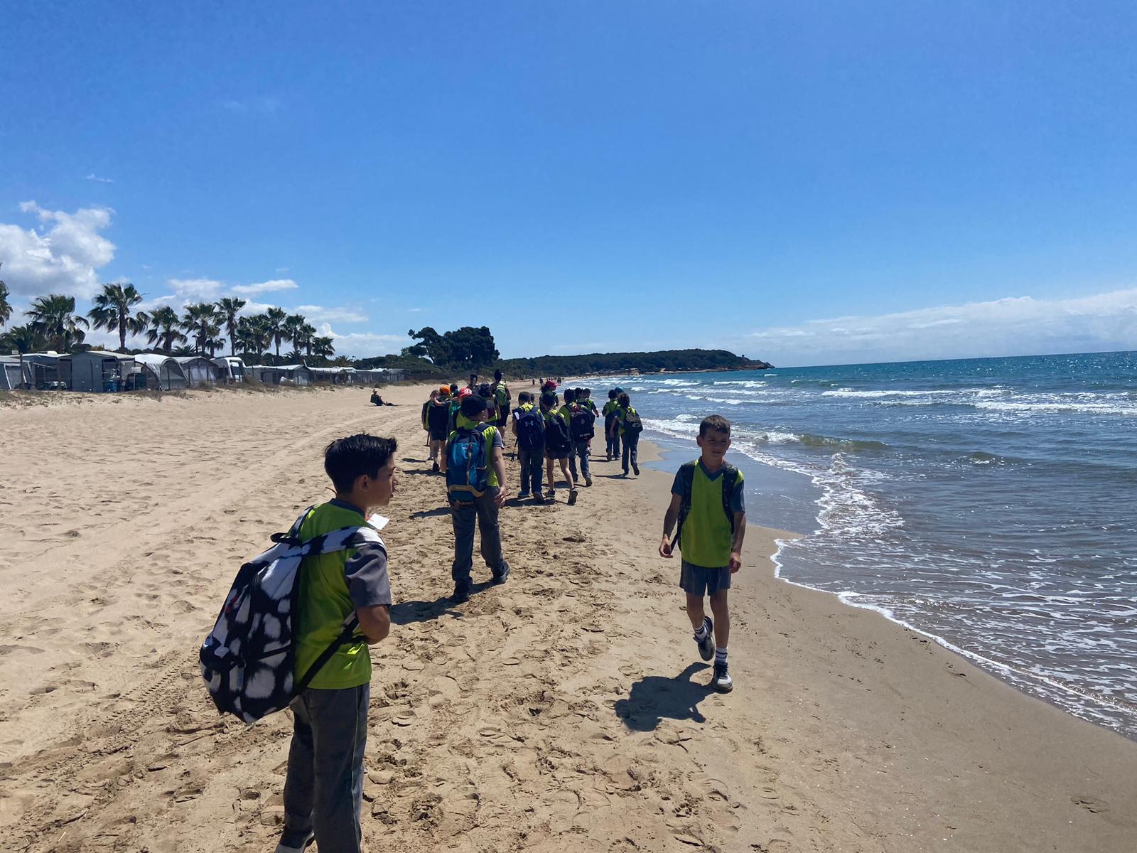 b2be535f-6b14-4175-8e77-dc73092e6973