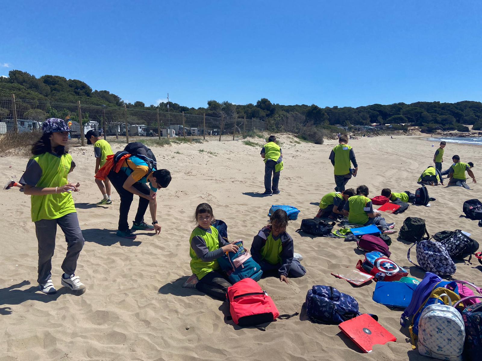 d638176f-31db-4703-9106-ac7545524097