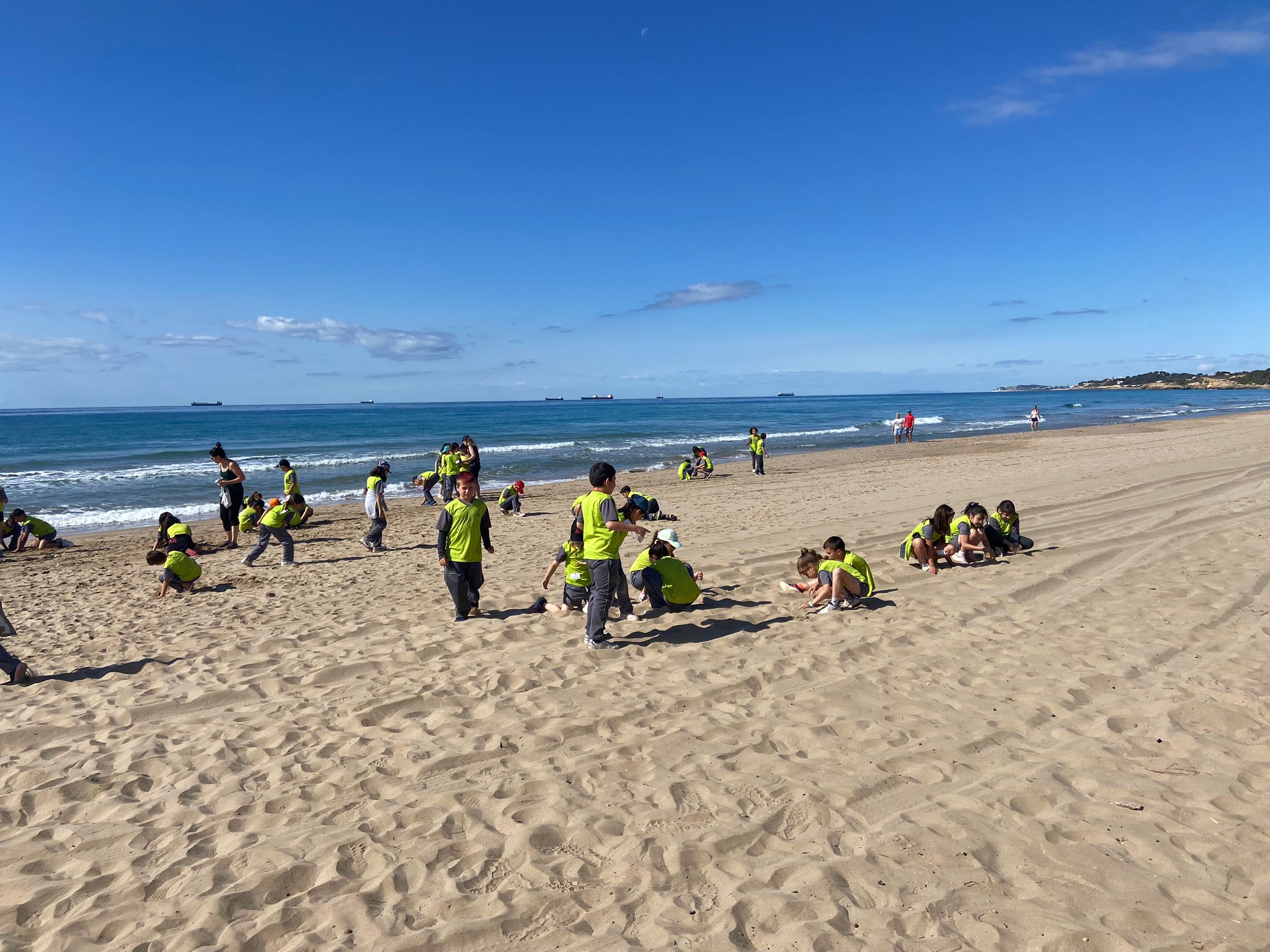 e14295f2-c9f1-43d7-8f9d-21e4c1cacd02