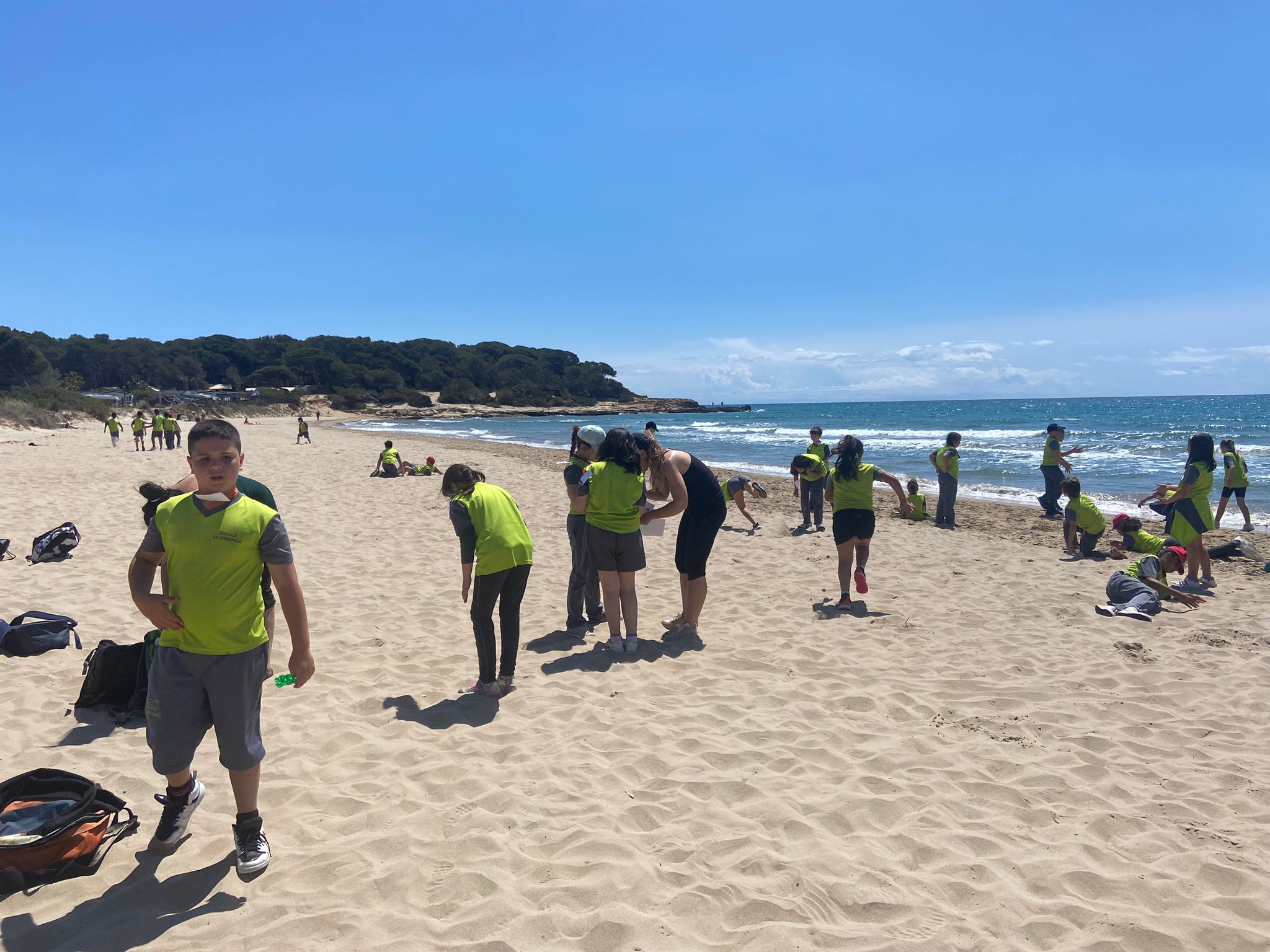 e8045b91-69f2-409d-952a-718bcb16ed5a