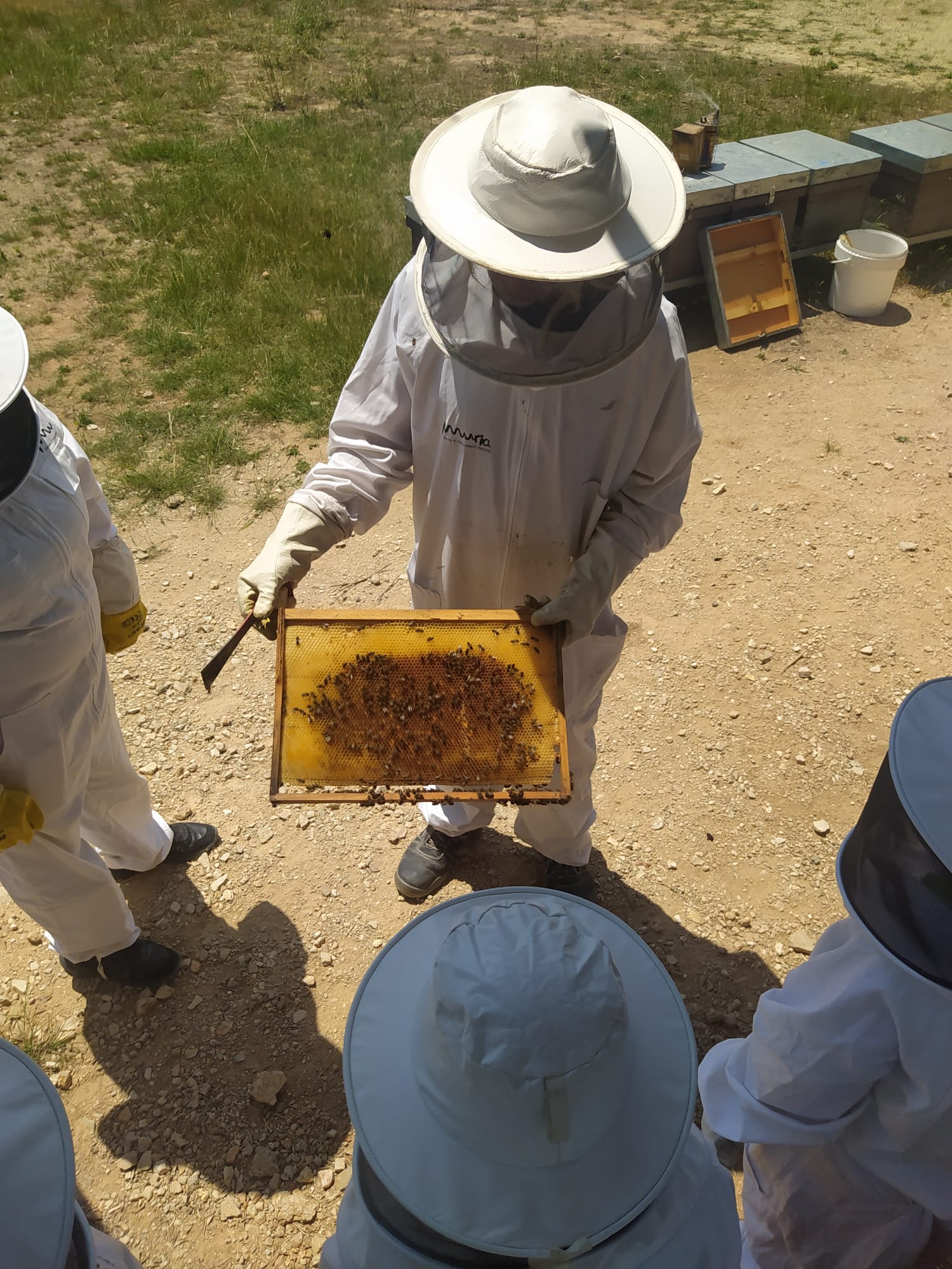 4660844b-d675-4fe9-9964-6f1267910b9f