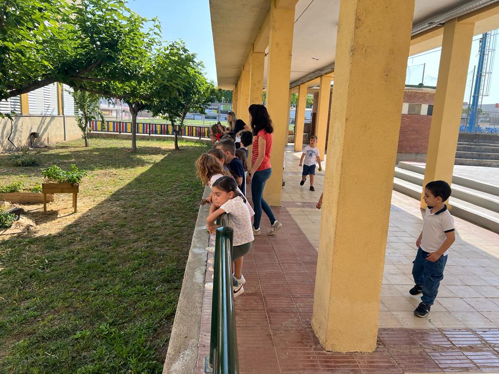 96c98d88-c8c4-48c6-9b0e-670ebd70717c