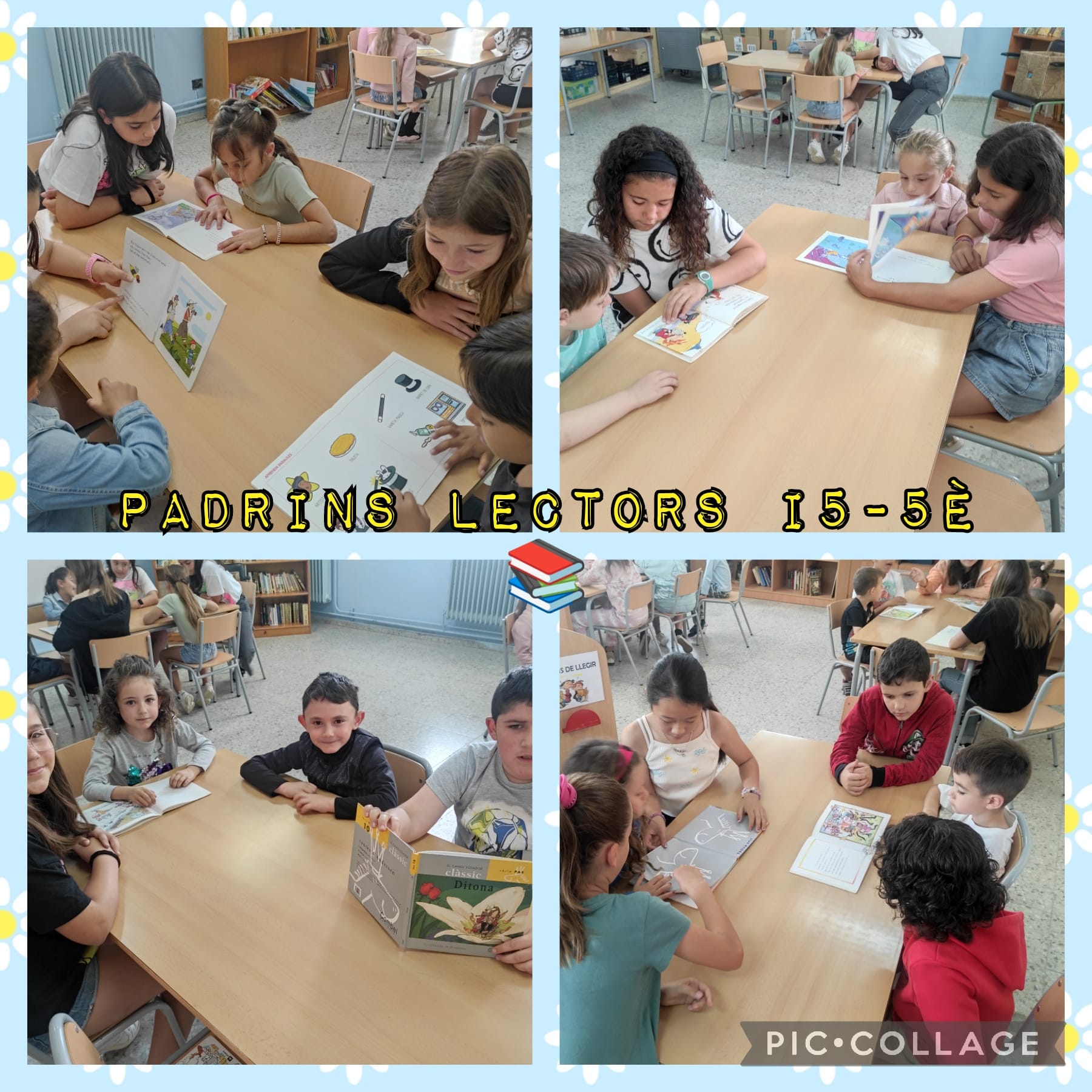 WhatsApp Image 2023-05-25 at 08.52.39-2