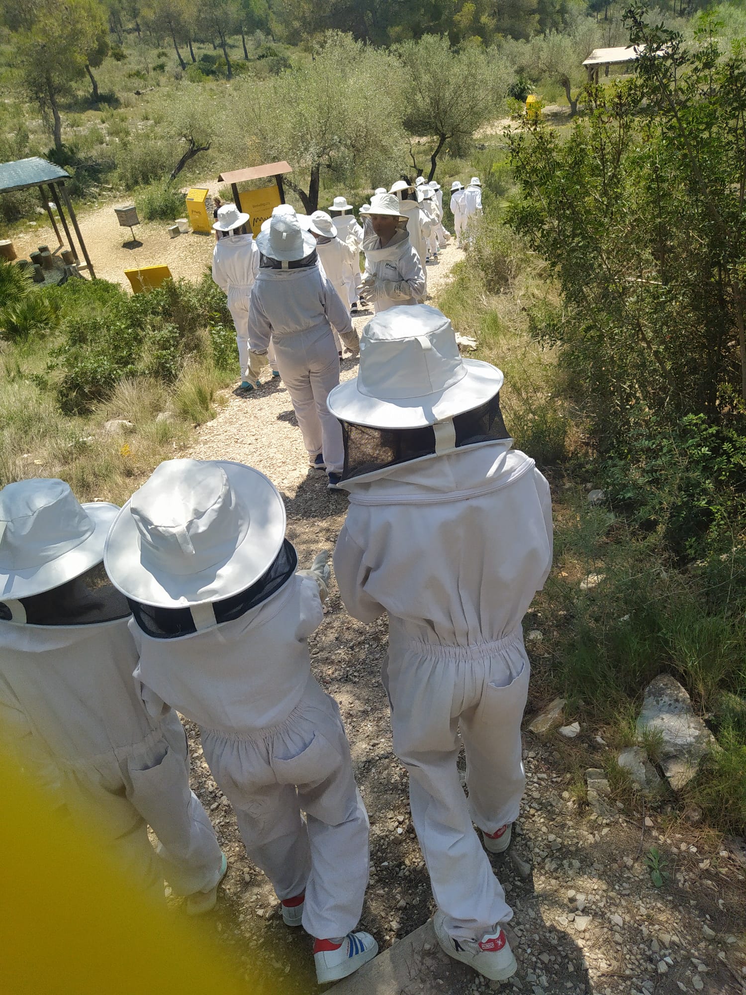 d73ea59d-3e6a-430d-9c1f-9e713dbe8340