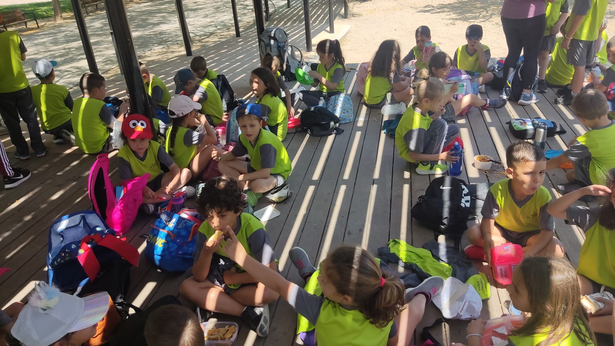 eb878766-2ee2-497b-8e50-3aaff785043a