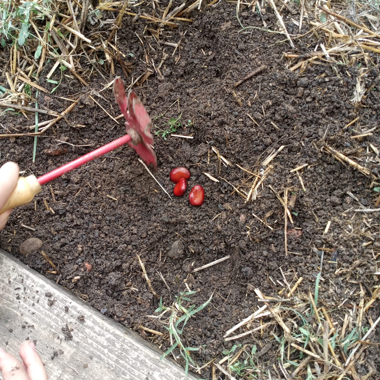 4d159179-fe59-4b5e-b446-0925ea759805