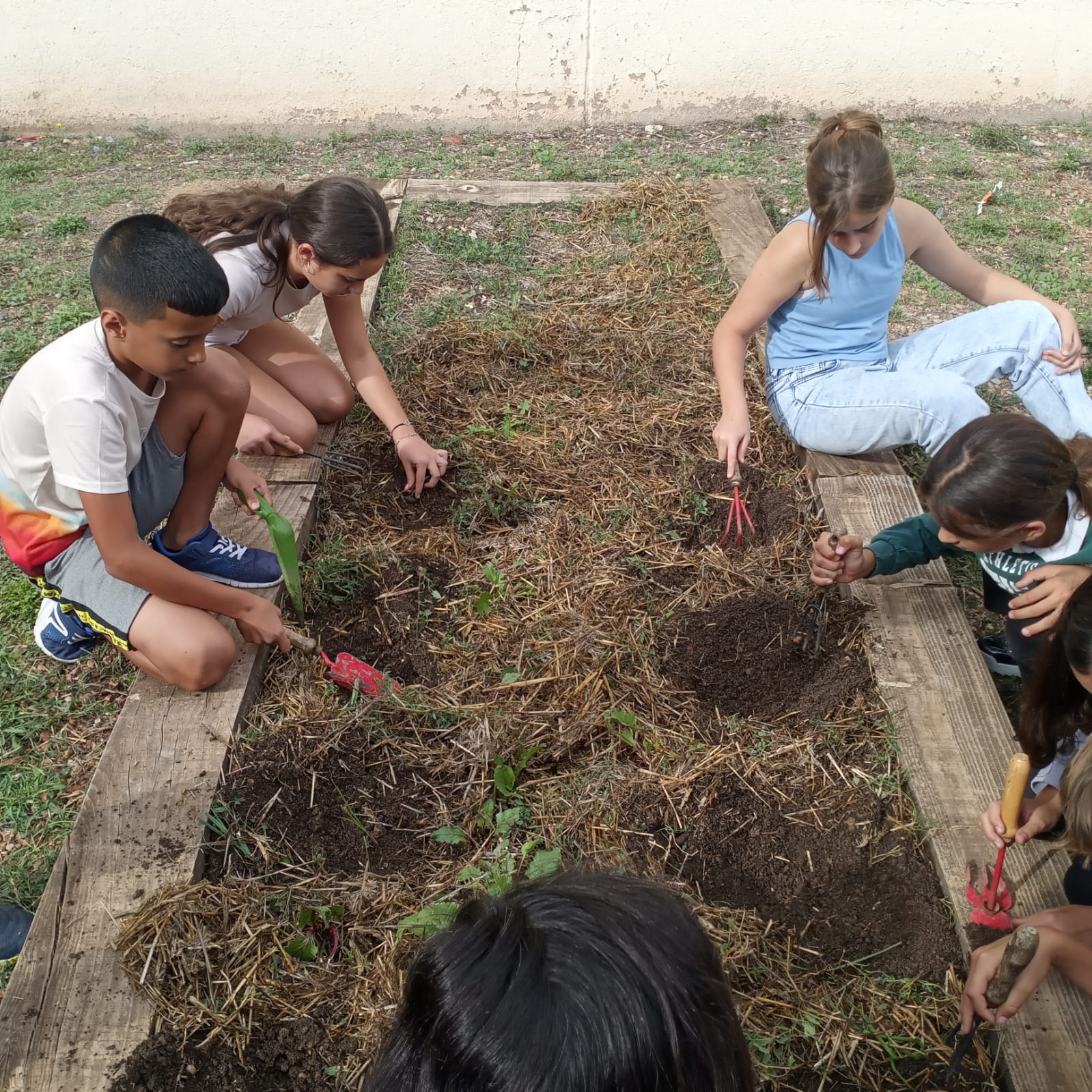 6764d6cf-ae6b-42b5-96b7-7b2a50eacd02