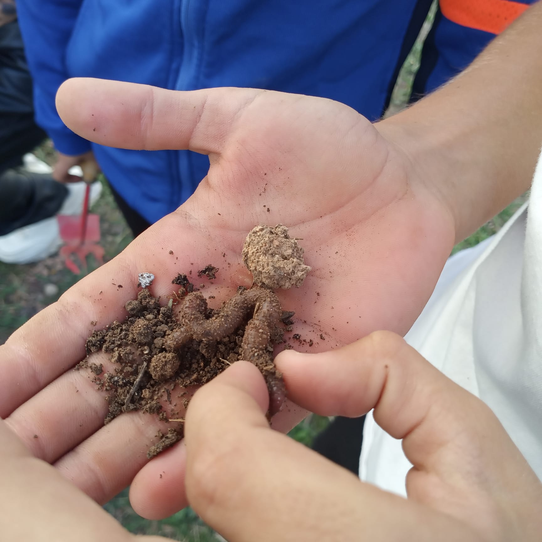 WhatsApp Image 2023-11-10 at 15.44.29