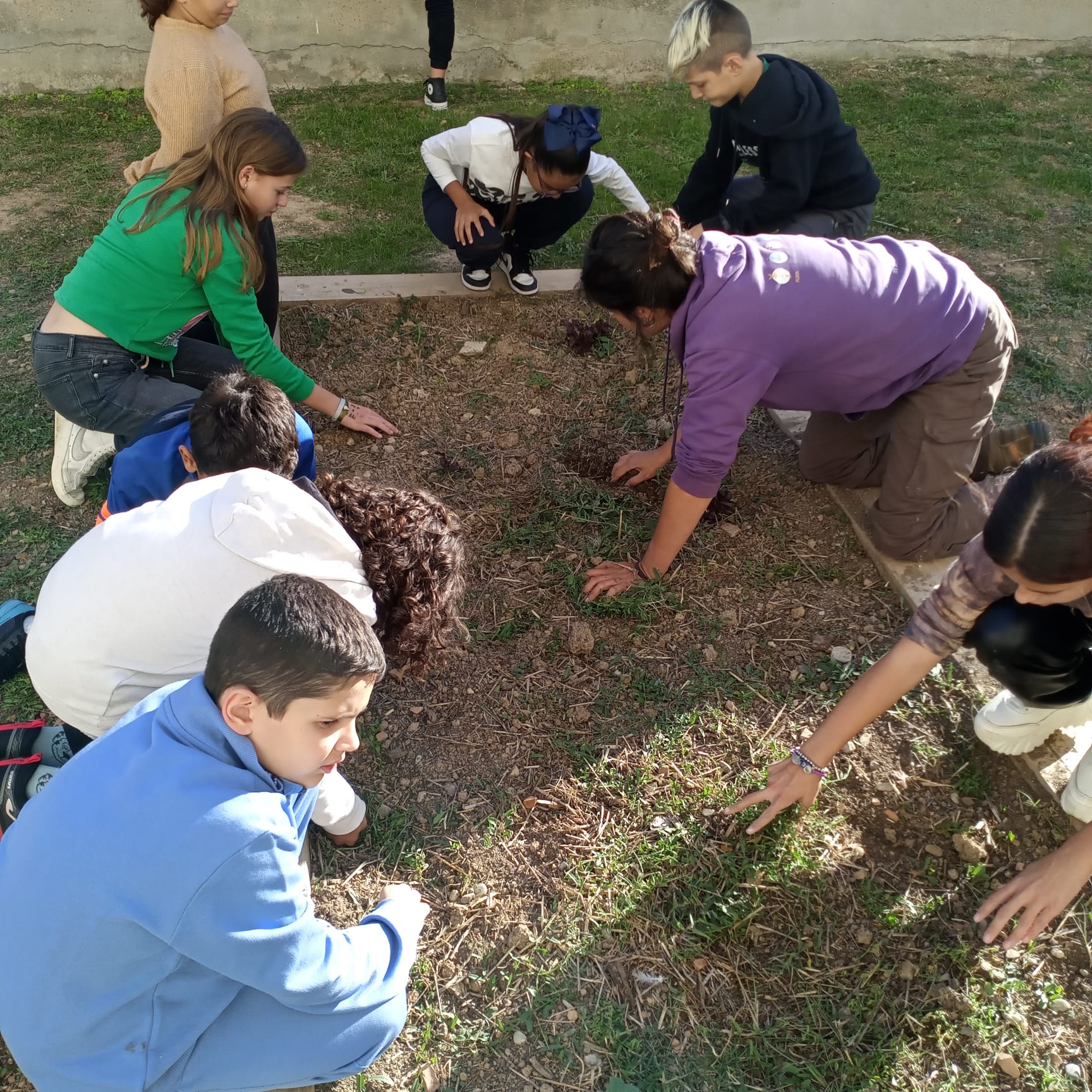 WhatsApp Image 2023-11-10 at 15.44.30 (2)