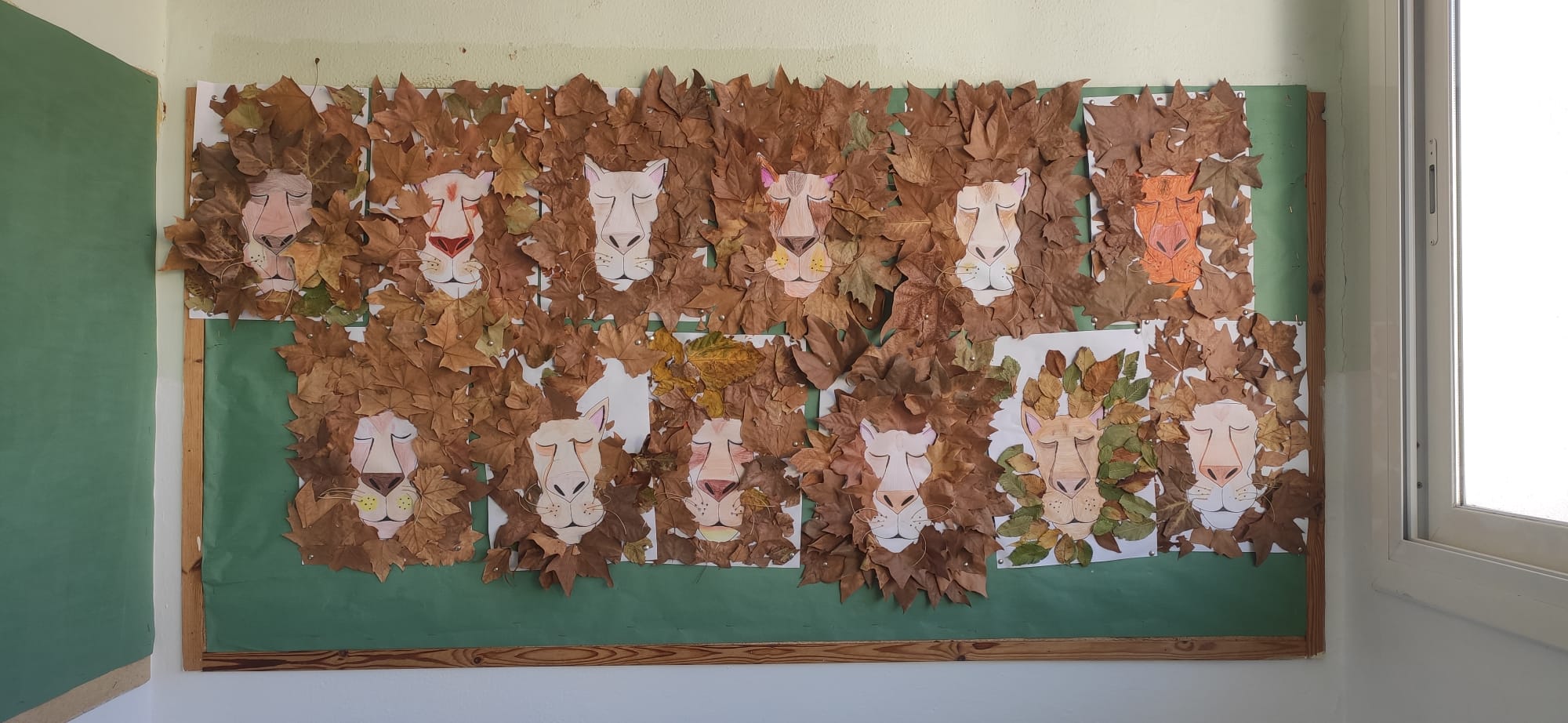 WhatsApp Image 2023-11-13 at 07.35.16 (1)