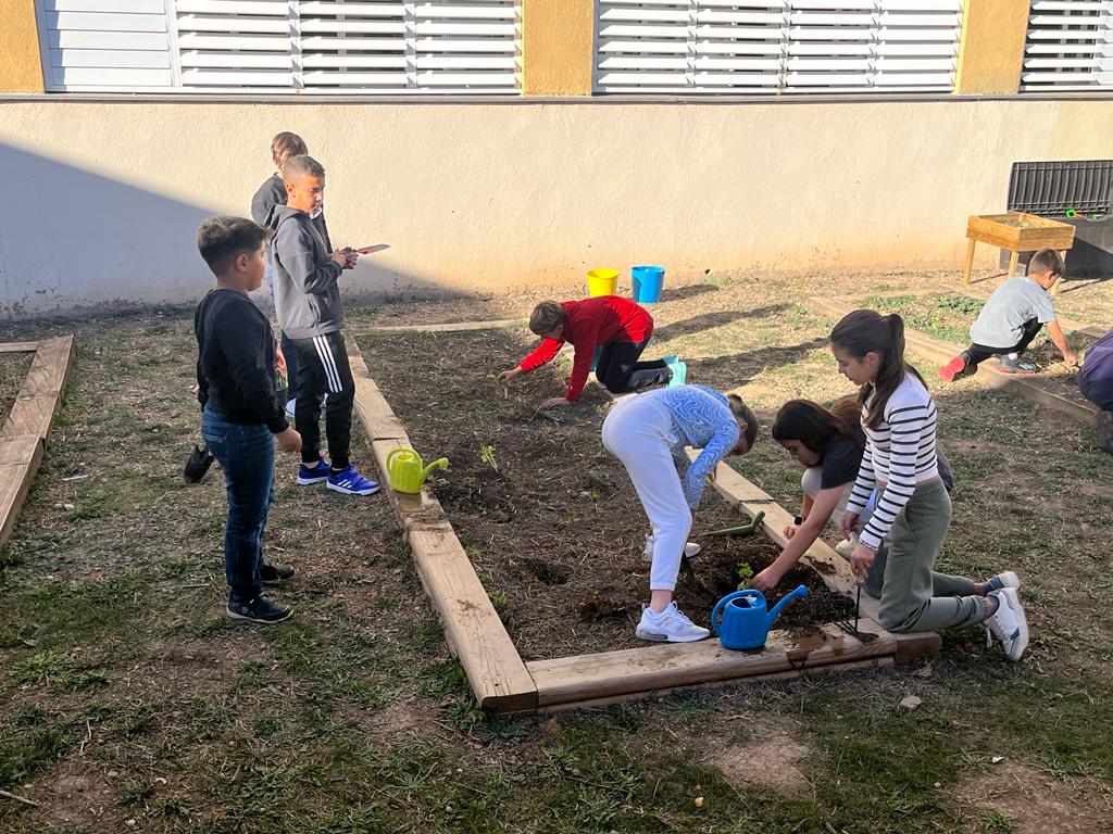 WhatsApp Image 2023-11-17 at 15.31.30 (1)