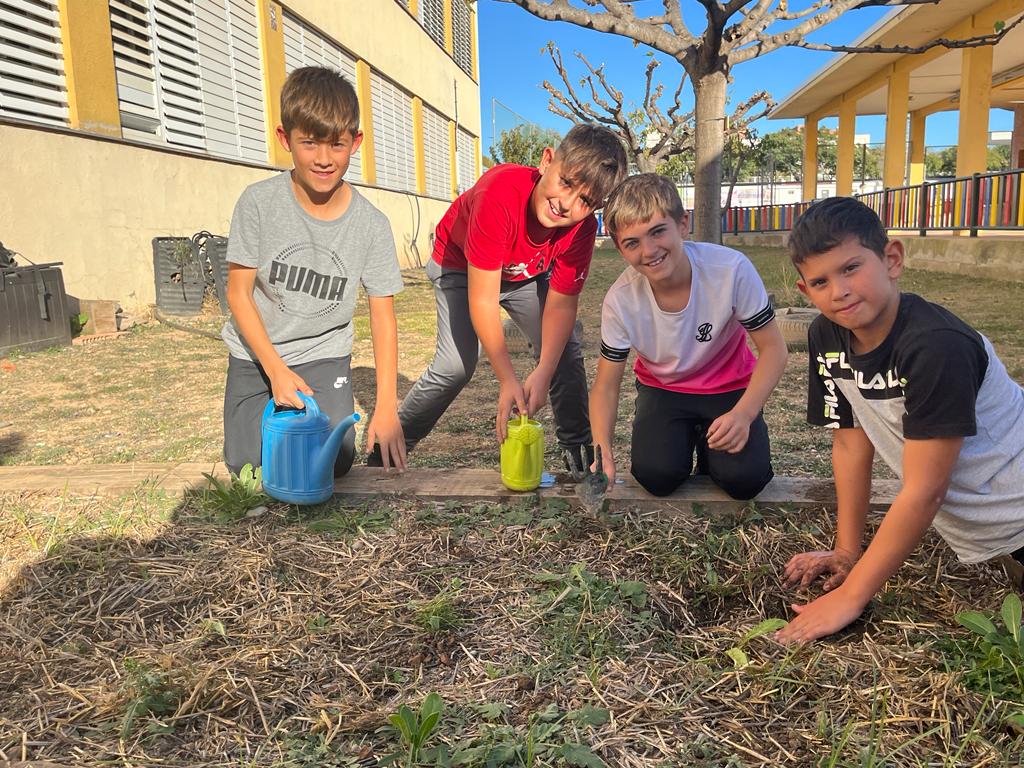 WhatsApp Image 2023-11-17 at 15.31.30 (3)