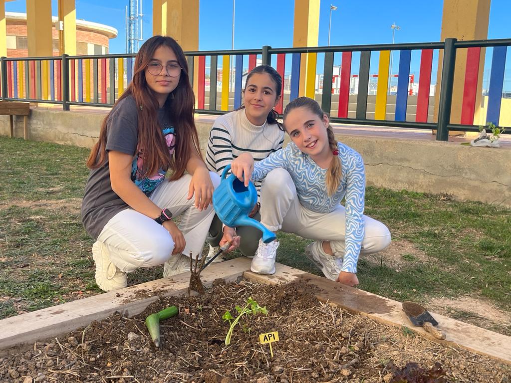 WhatsApp Image 2023-11-17 at 15.31.31