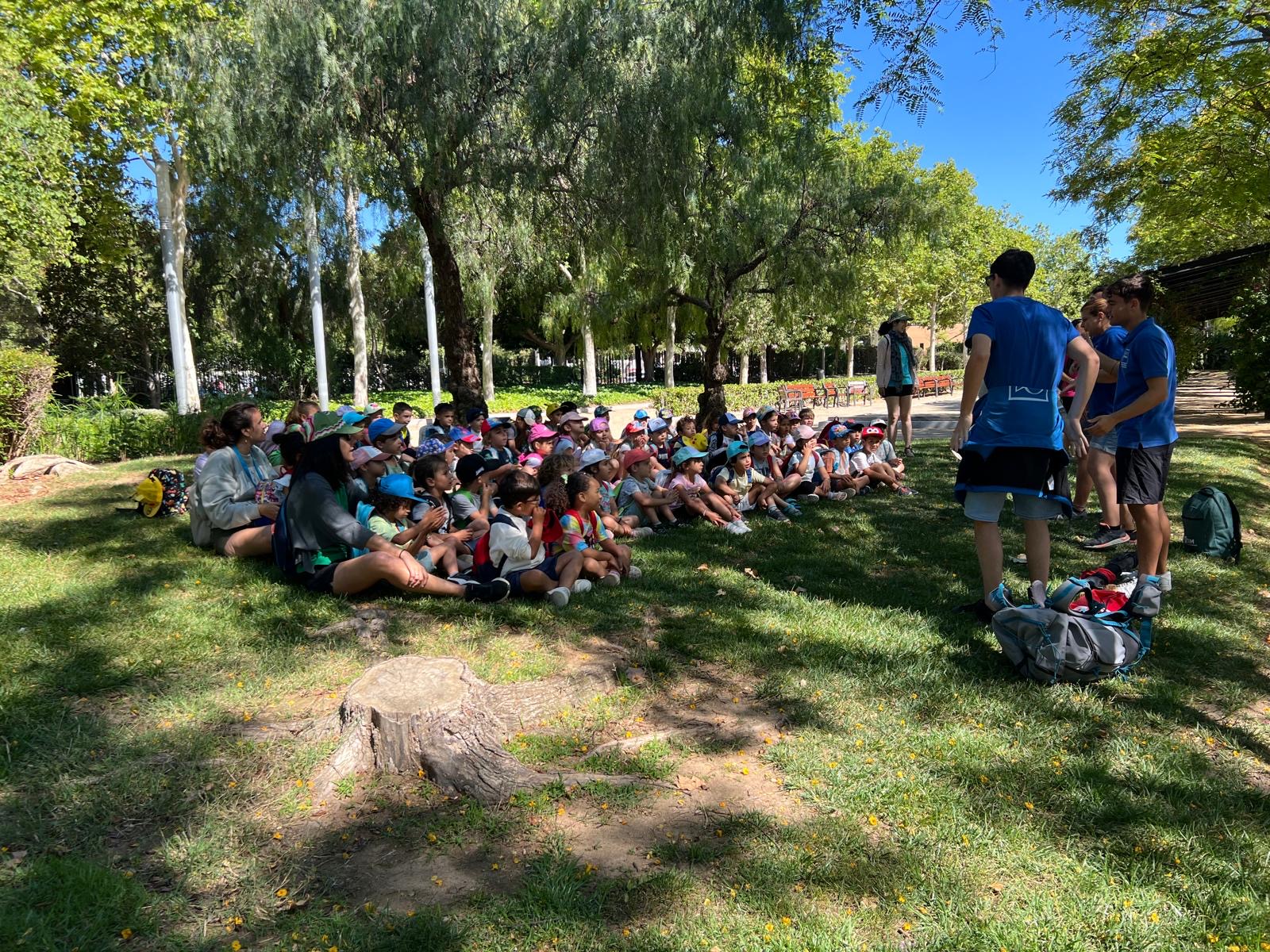 11c6bcd5-2551-42d7-a555-10b7351c6fad